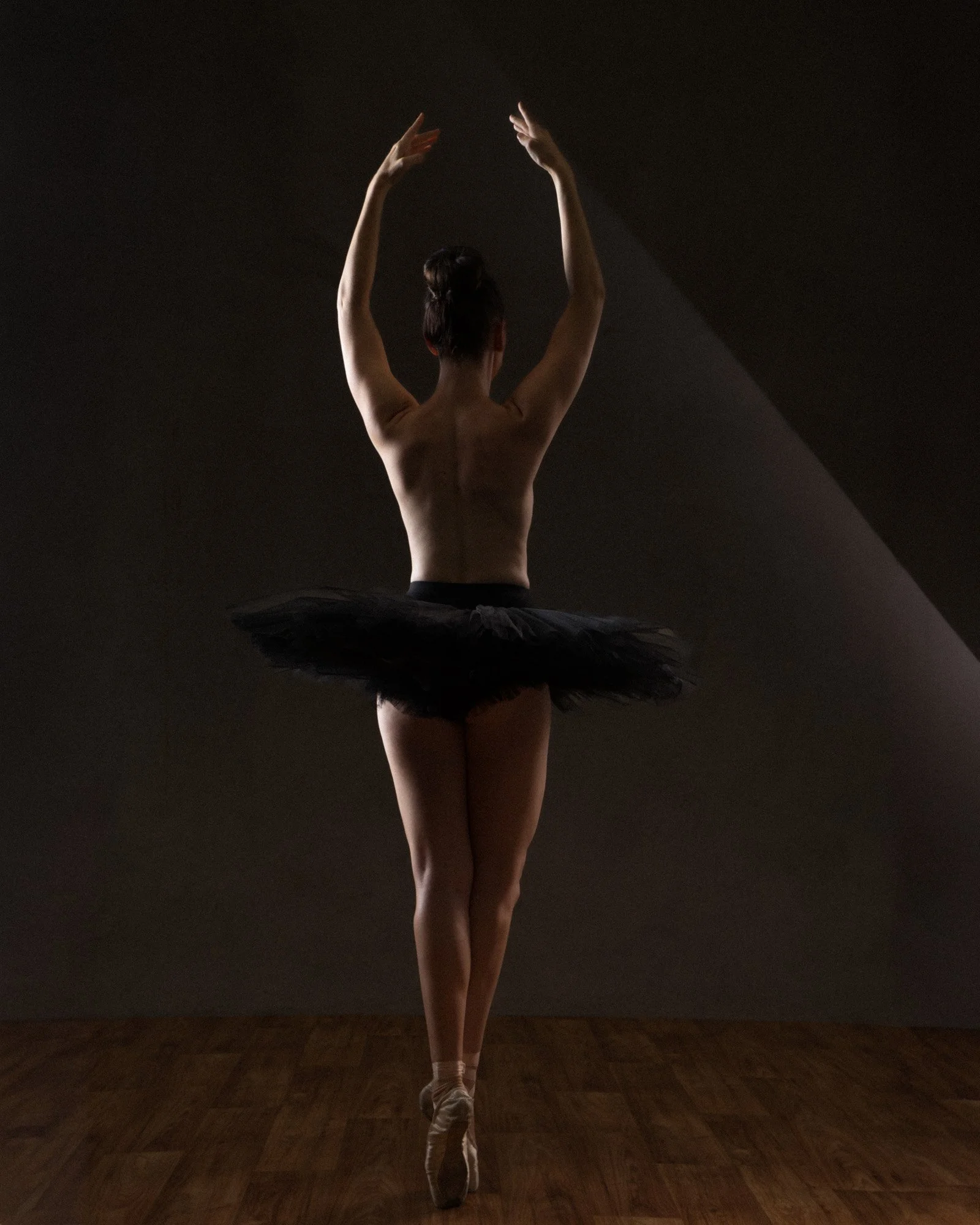 theme perform-26.jpg