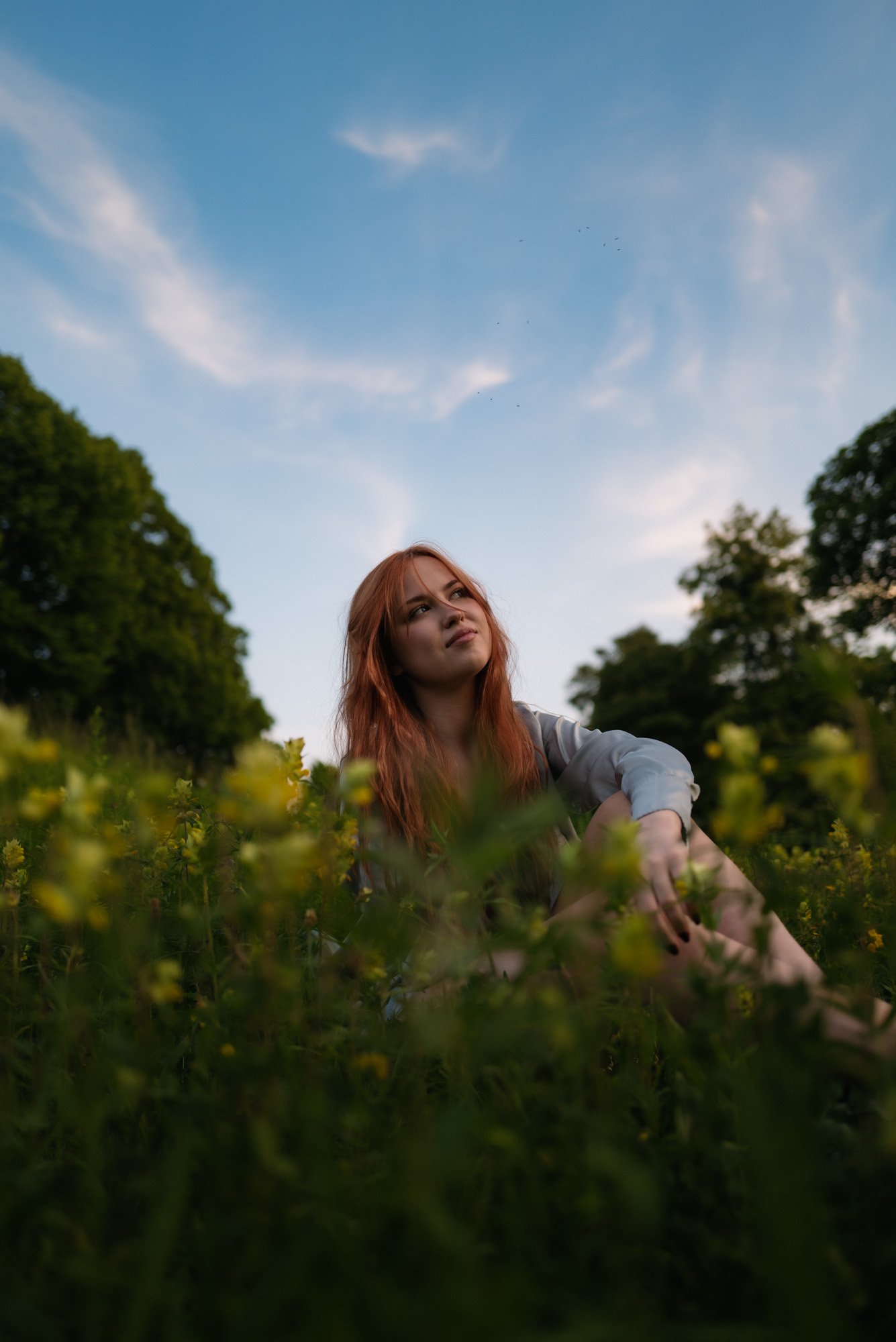 alina-field-different tone-LE2000px-3.jpg