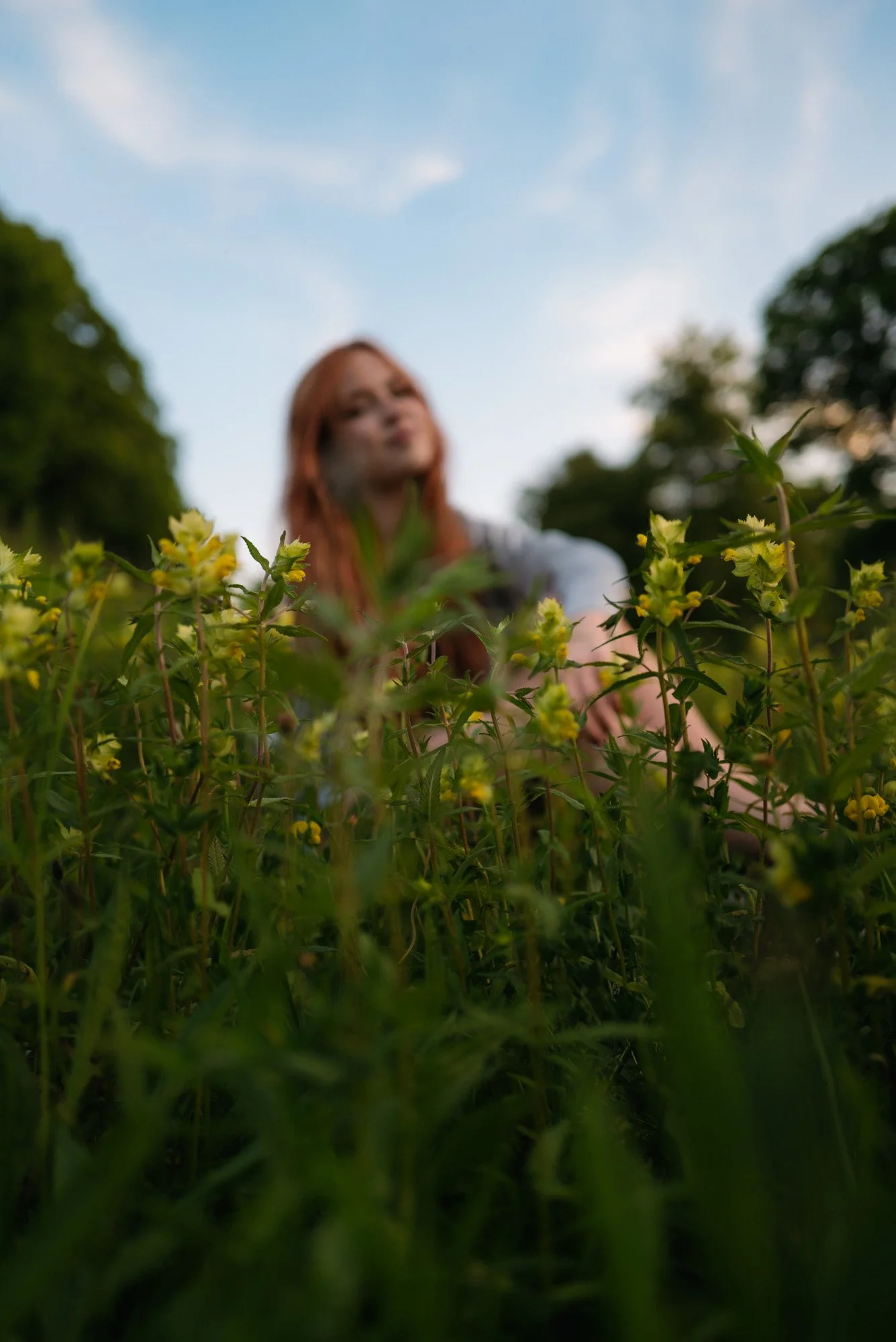 alina-field-different tone-LE2000px-4.jpg