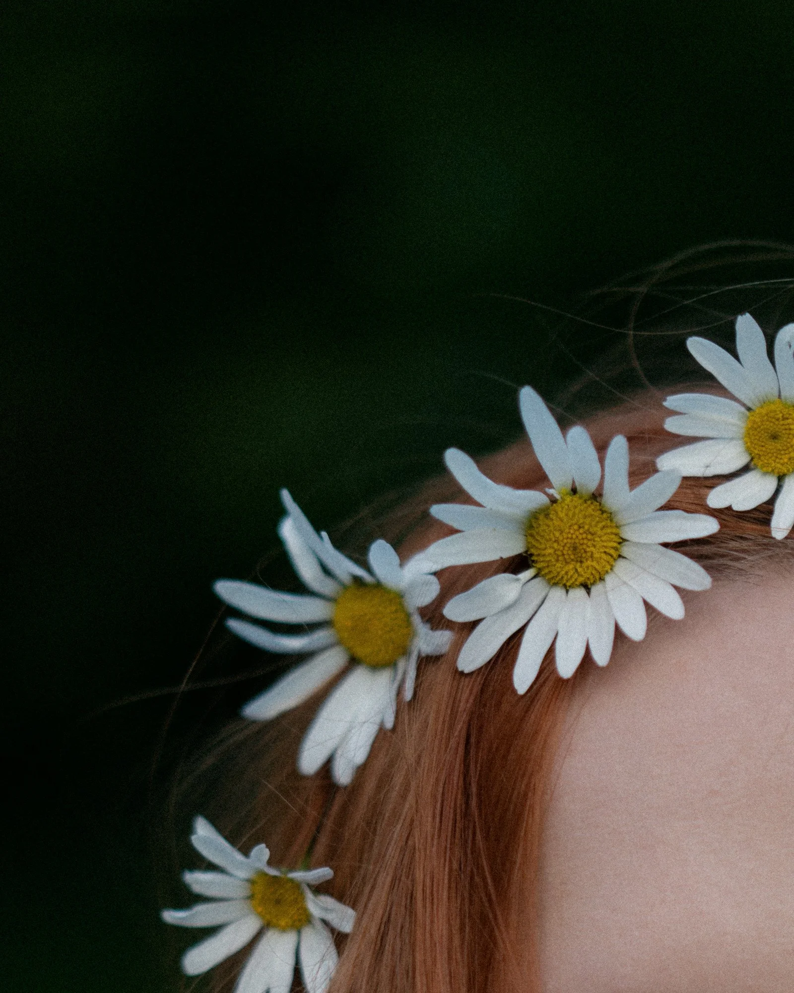 alina-field-different tone-LE2000px-13.jpg