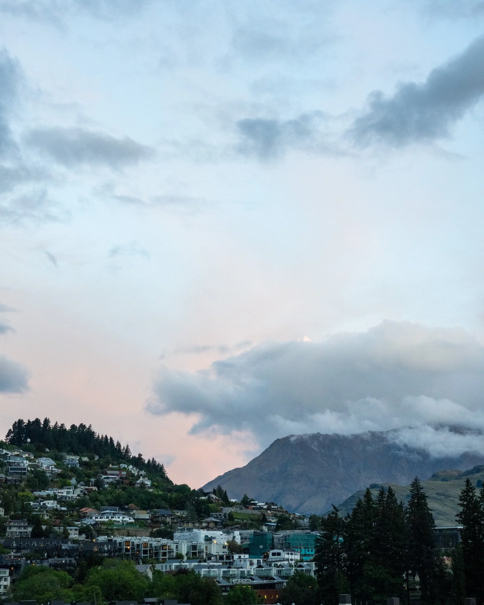 website temp field notes-3.jpg