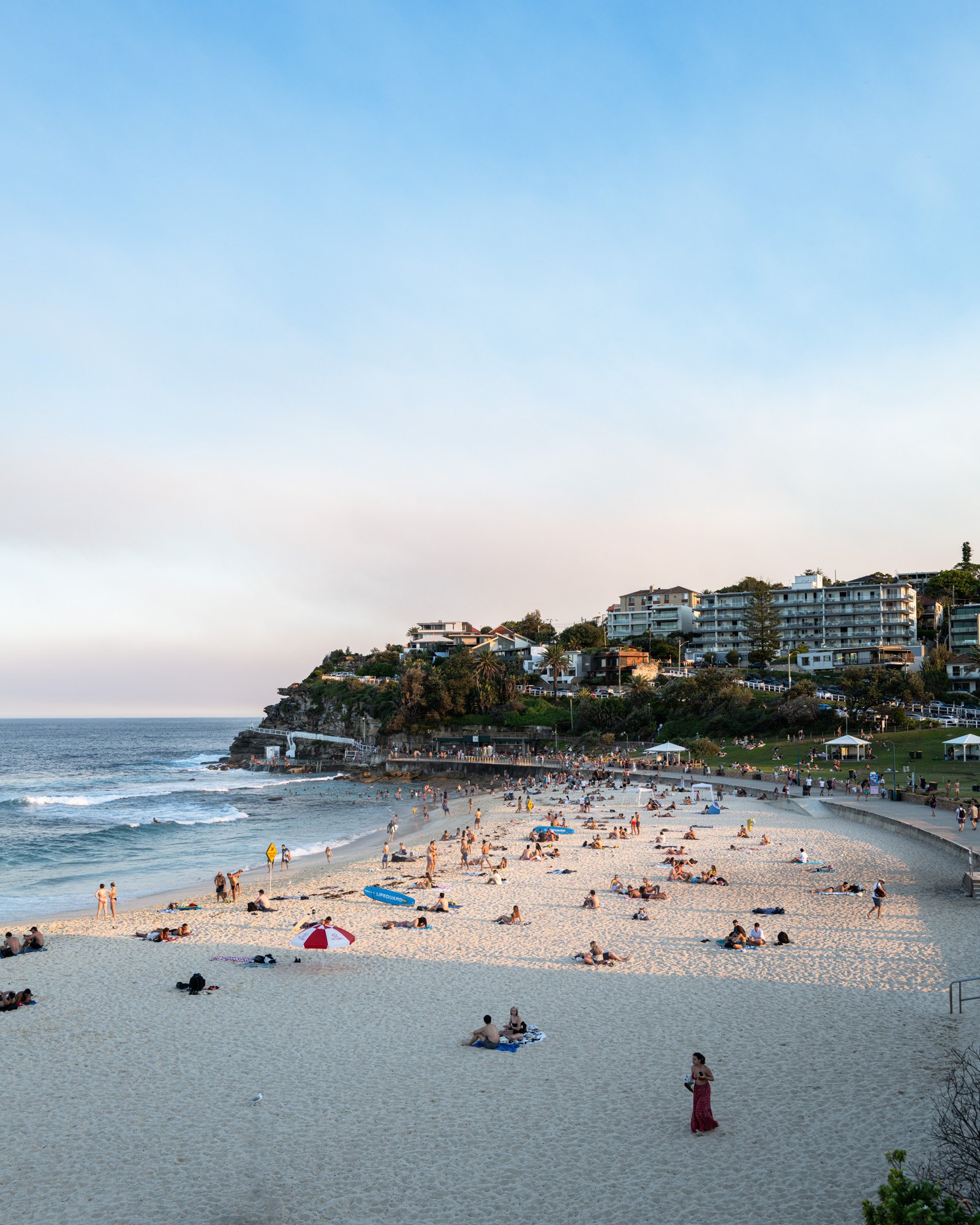 website temp field notes-5.jpg