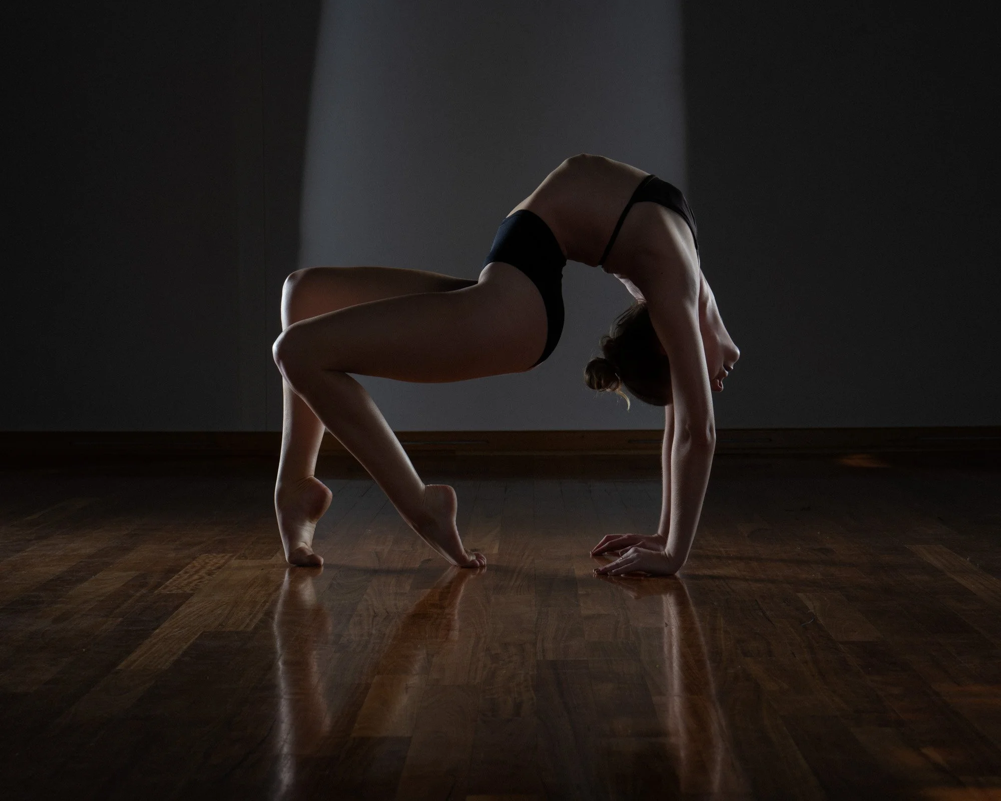 theme perform-22.jpg