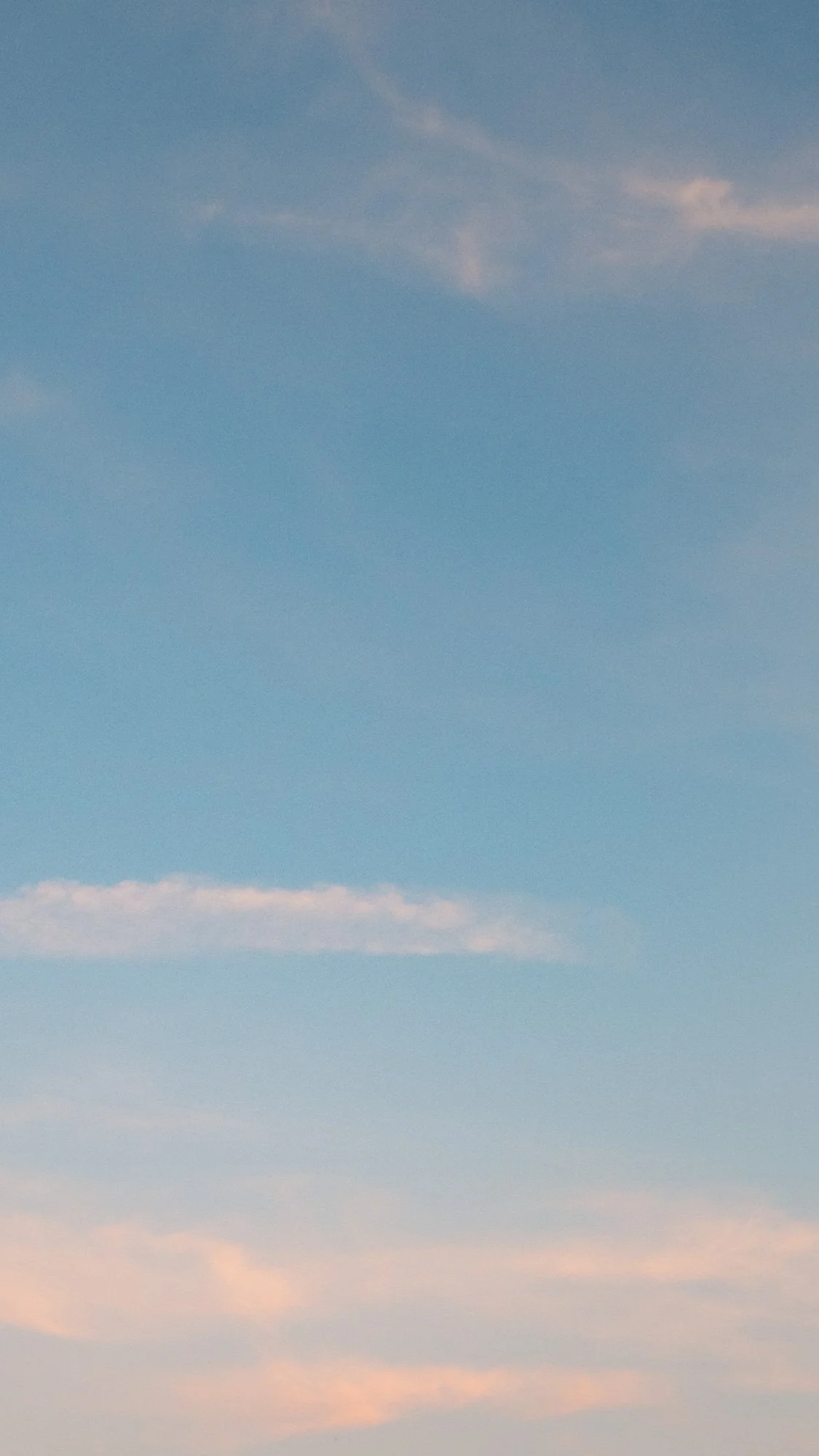 phone backgrounds-2.jpg