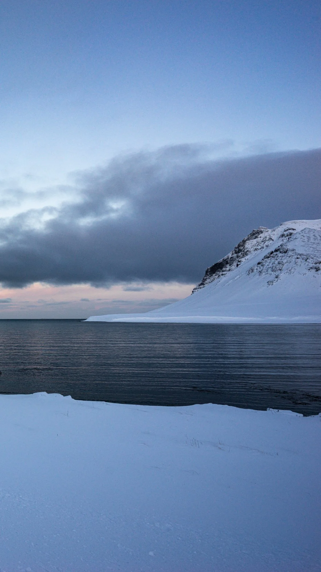 phone backgrounds-13.jpg