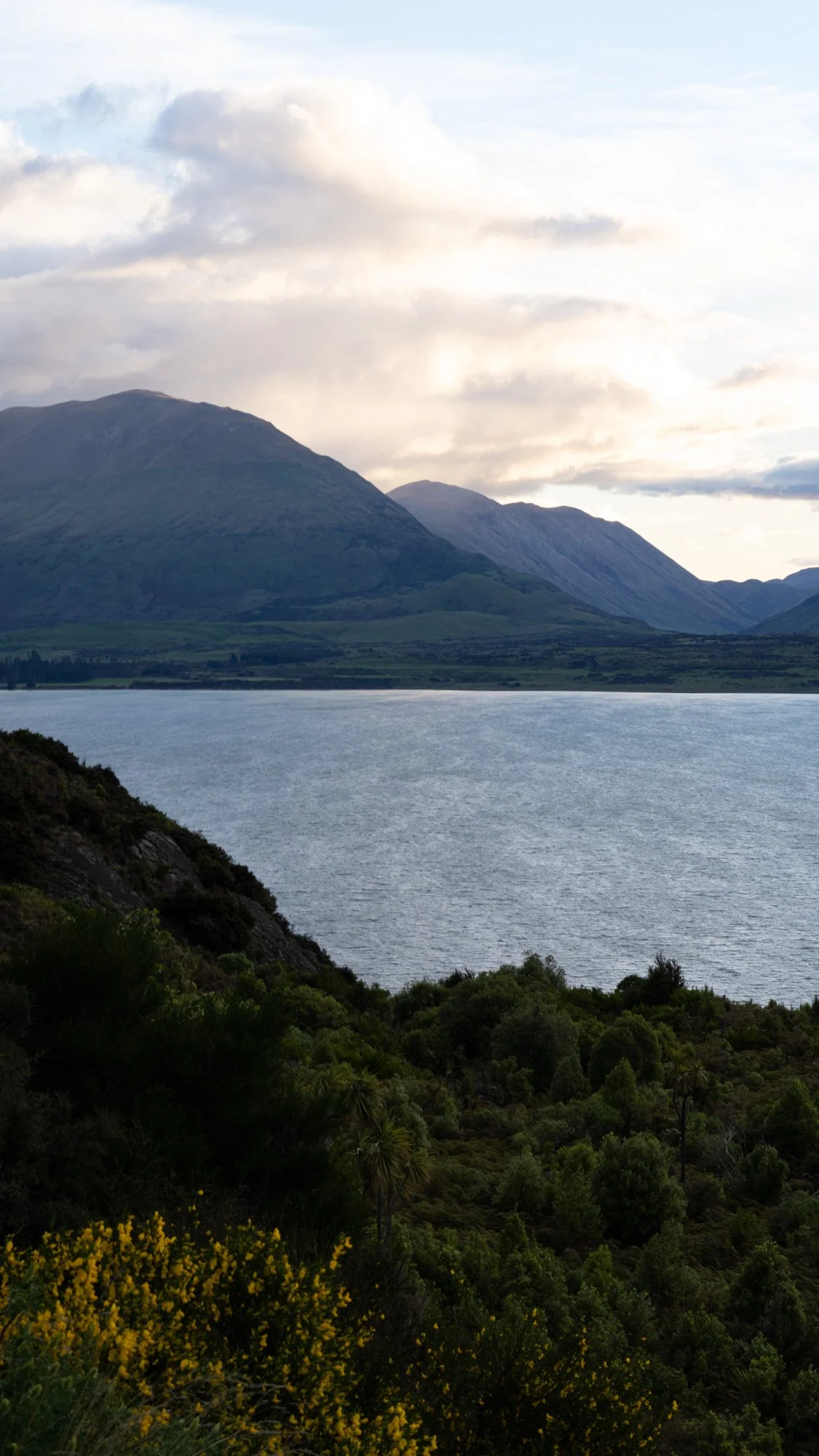 phone backgrounds-8.jpg