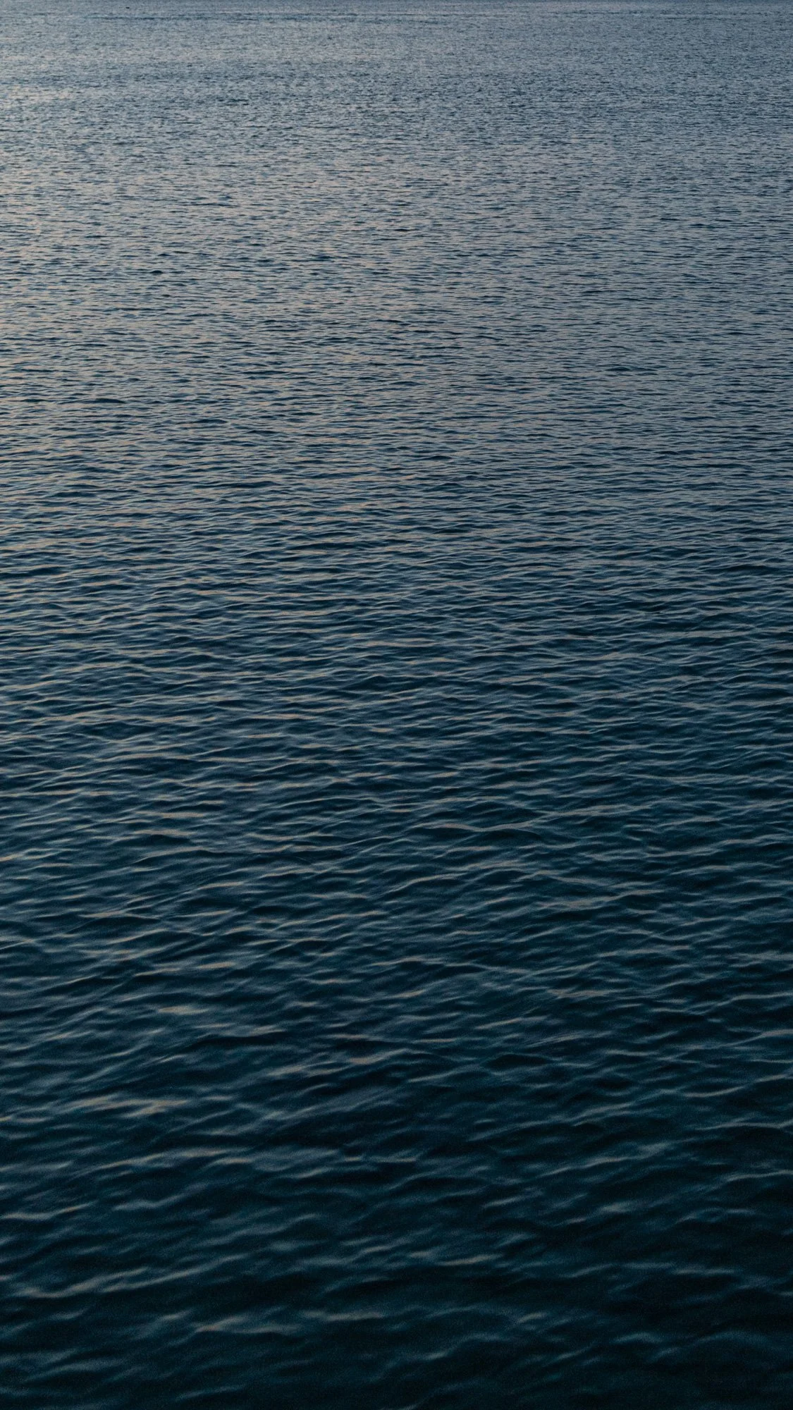 phone backgrounds-7.jpg