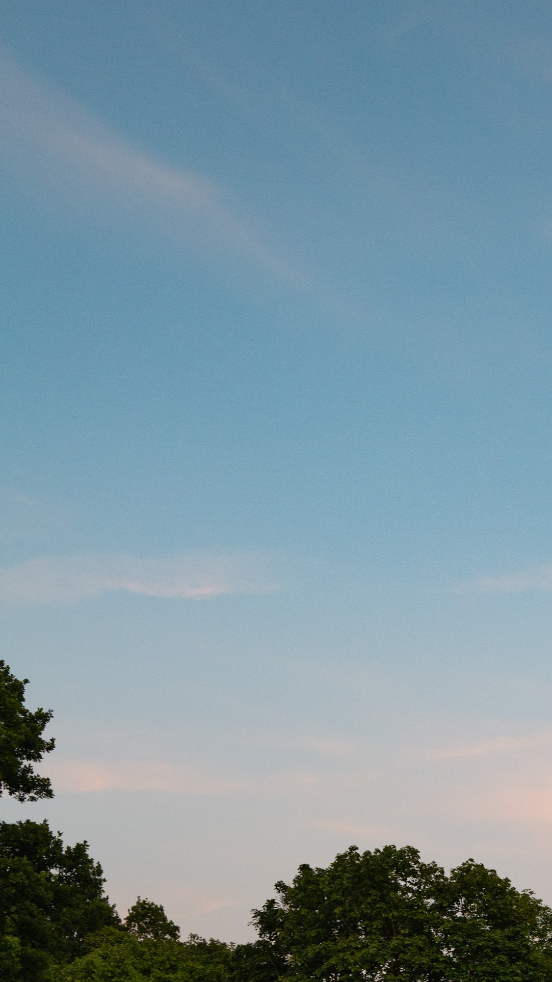 phone backgrounds-1.jpg