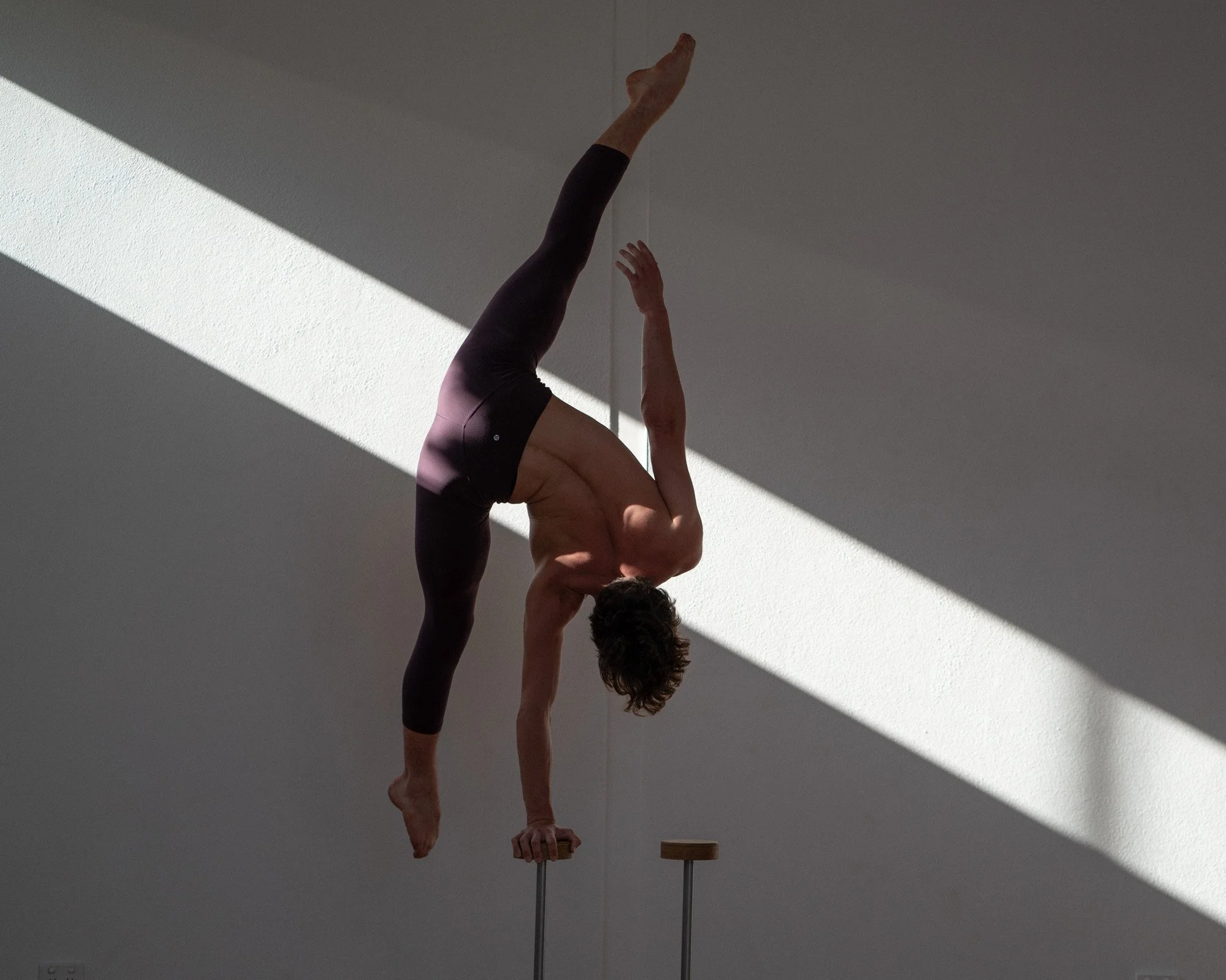 theme perform-15.jpg