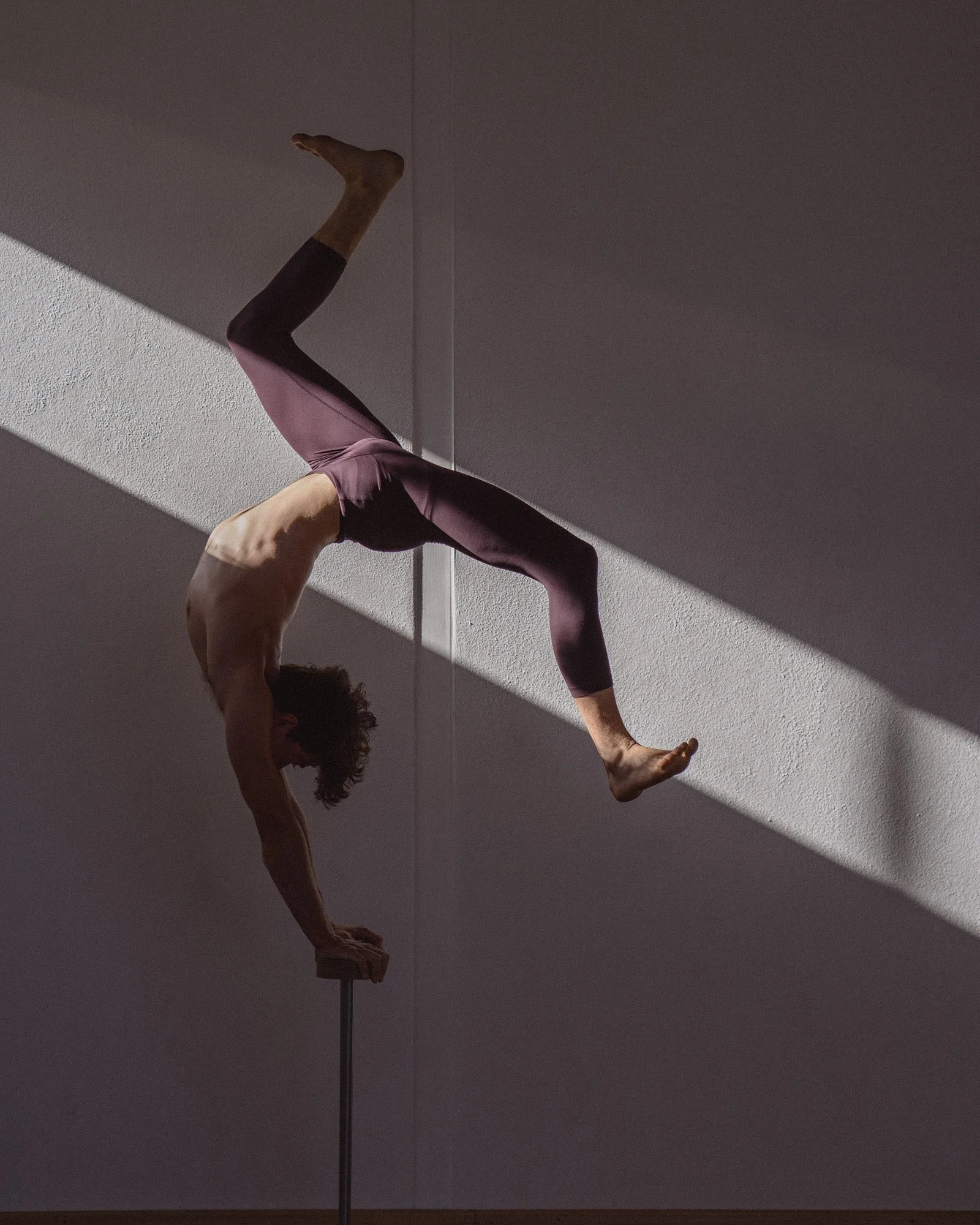 theme perform-14.jpg