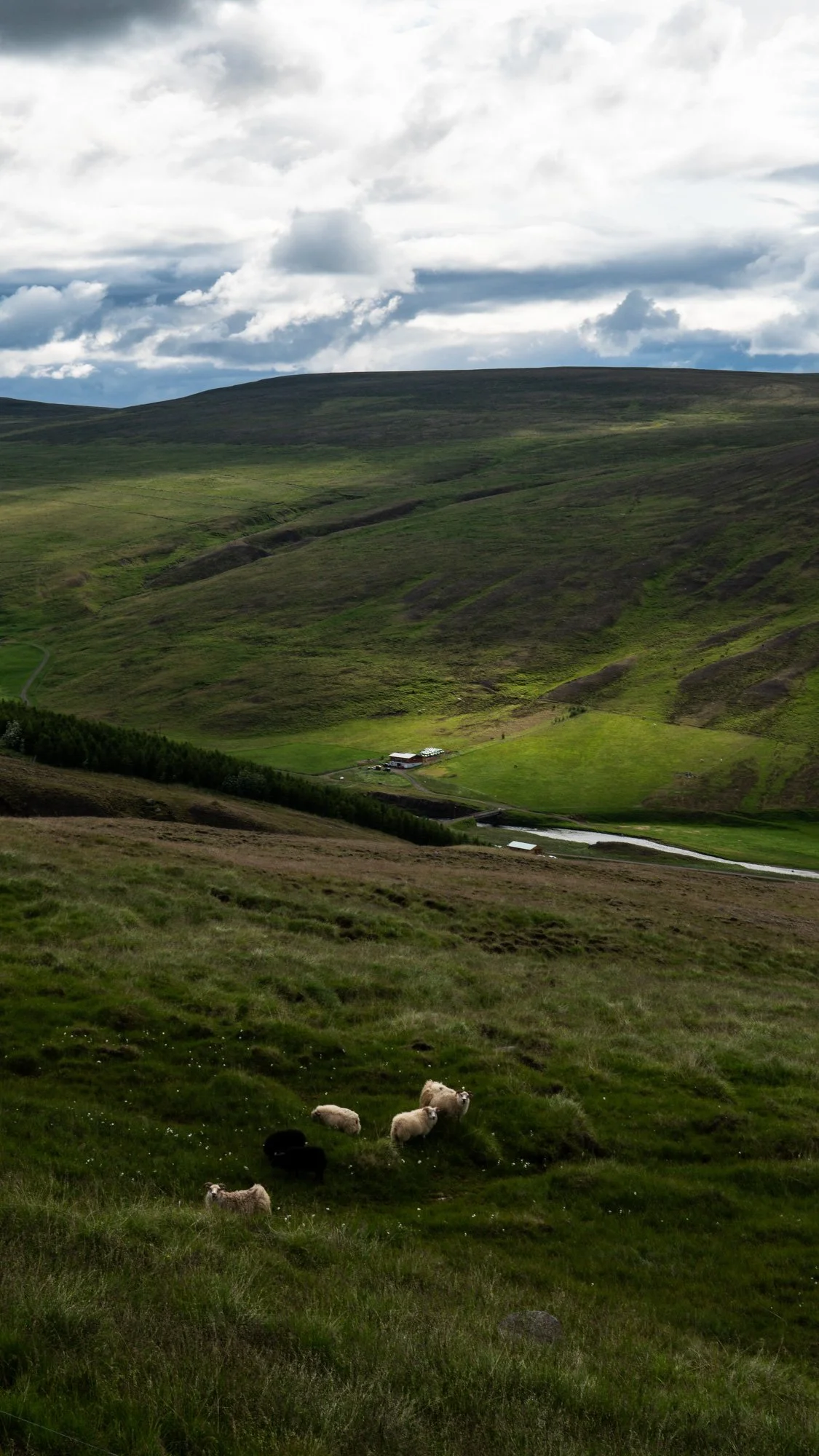 phone backgrounds-10.jpg