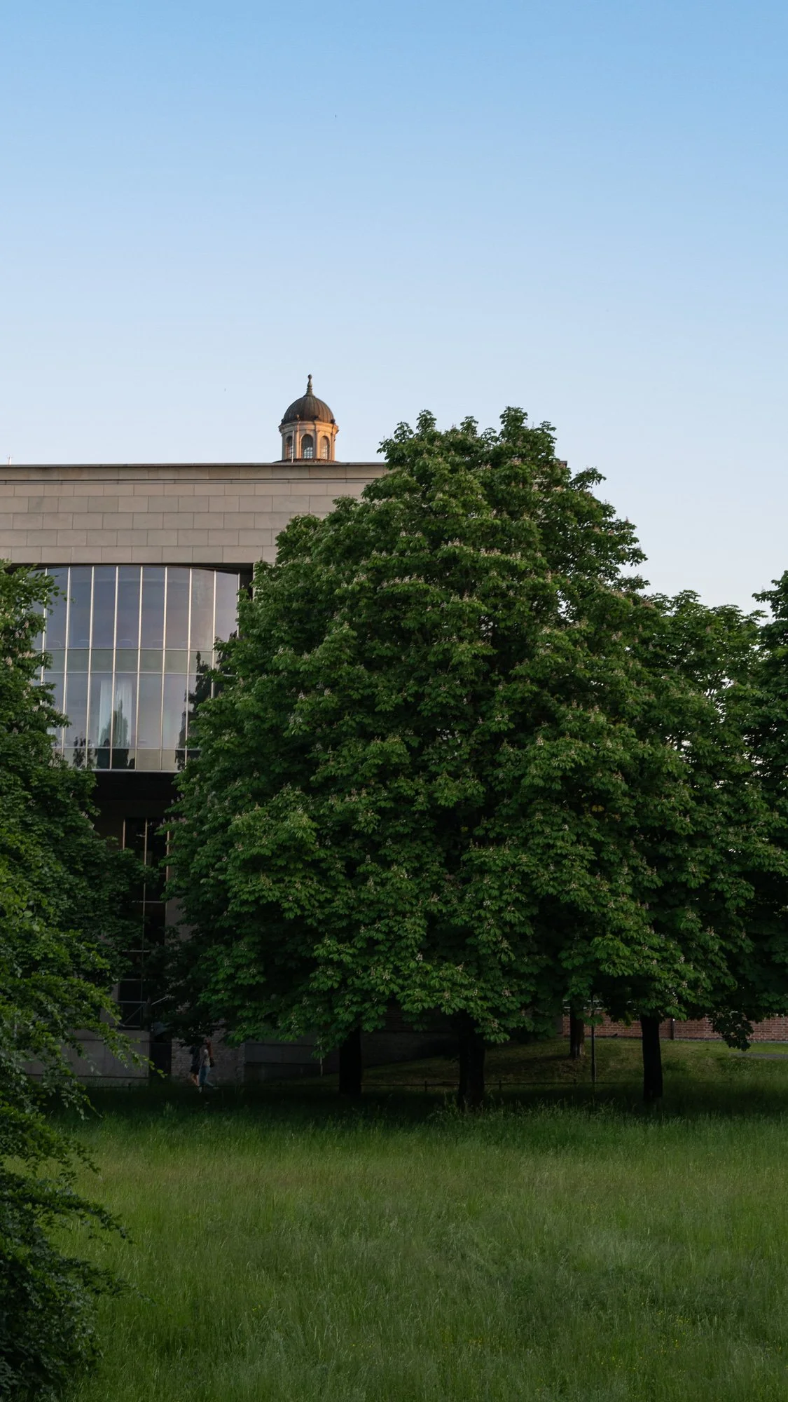 phone backgrounds-3.jpg