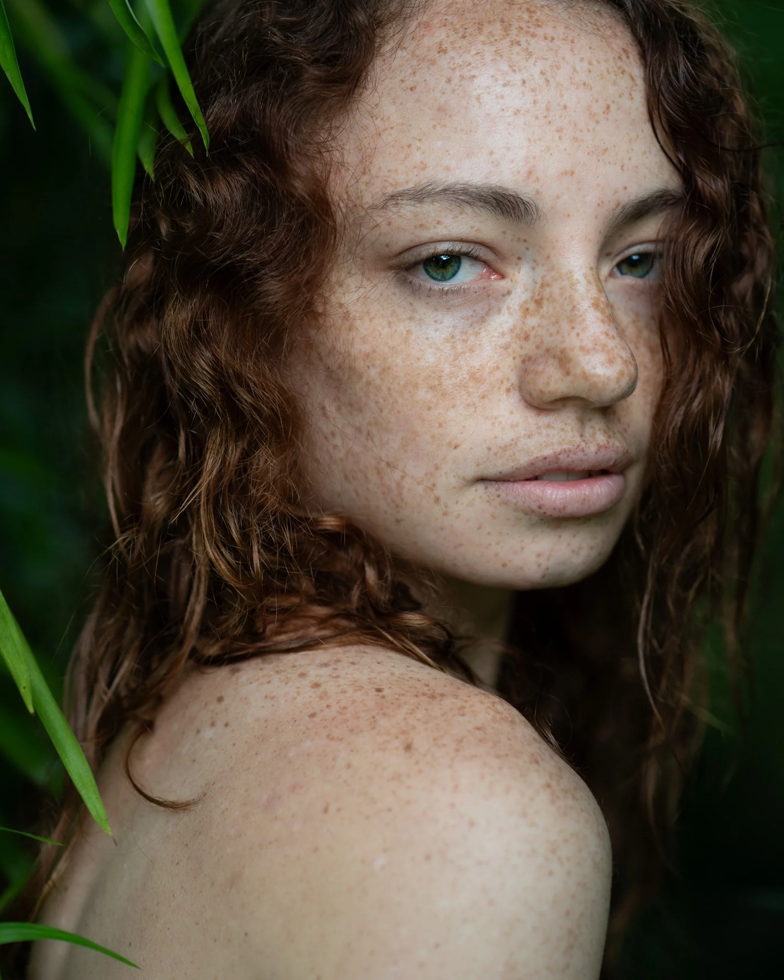 test images one website-LE2000px-8.jpg