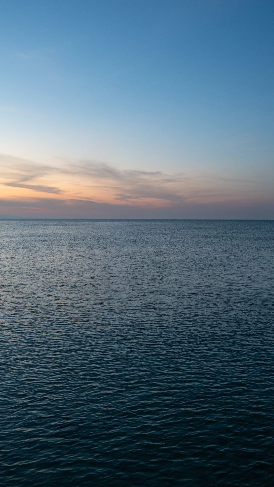 phone backgrounds-6.jpg