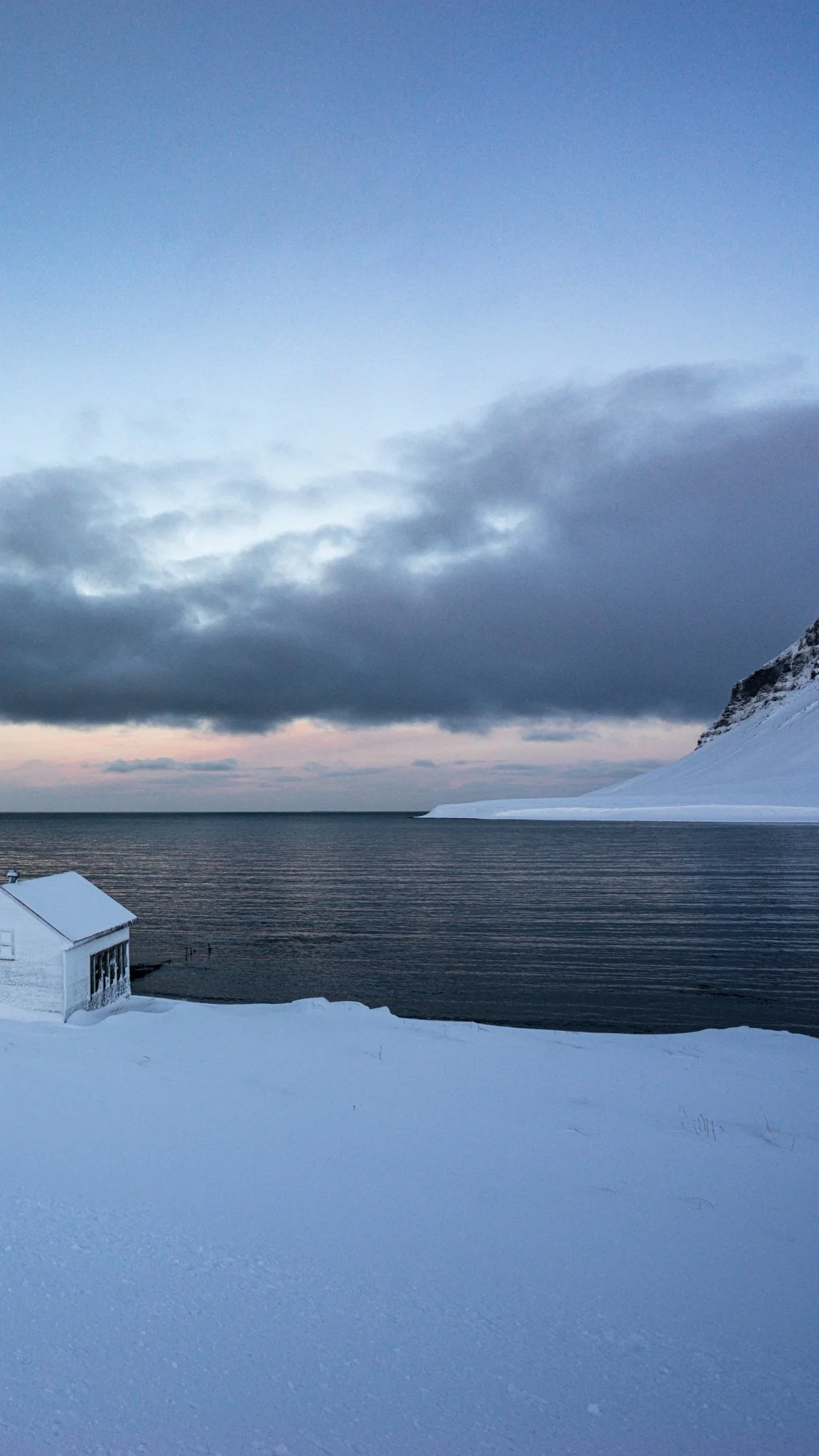 phone backgrounds-12.jpg