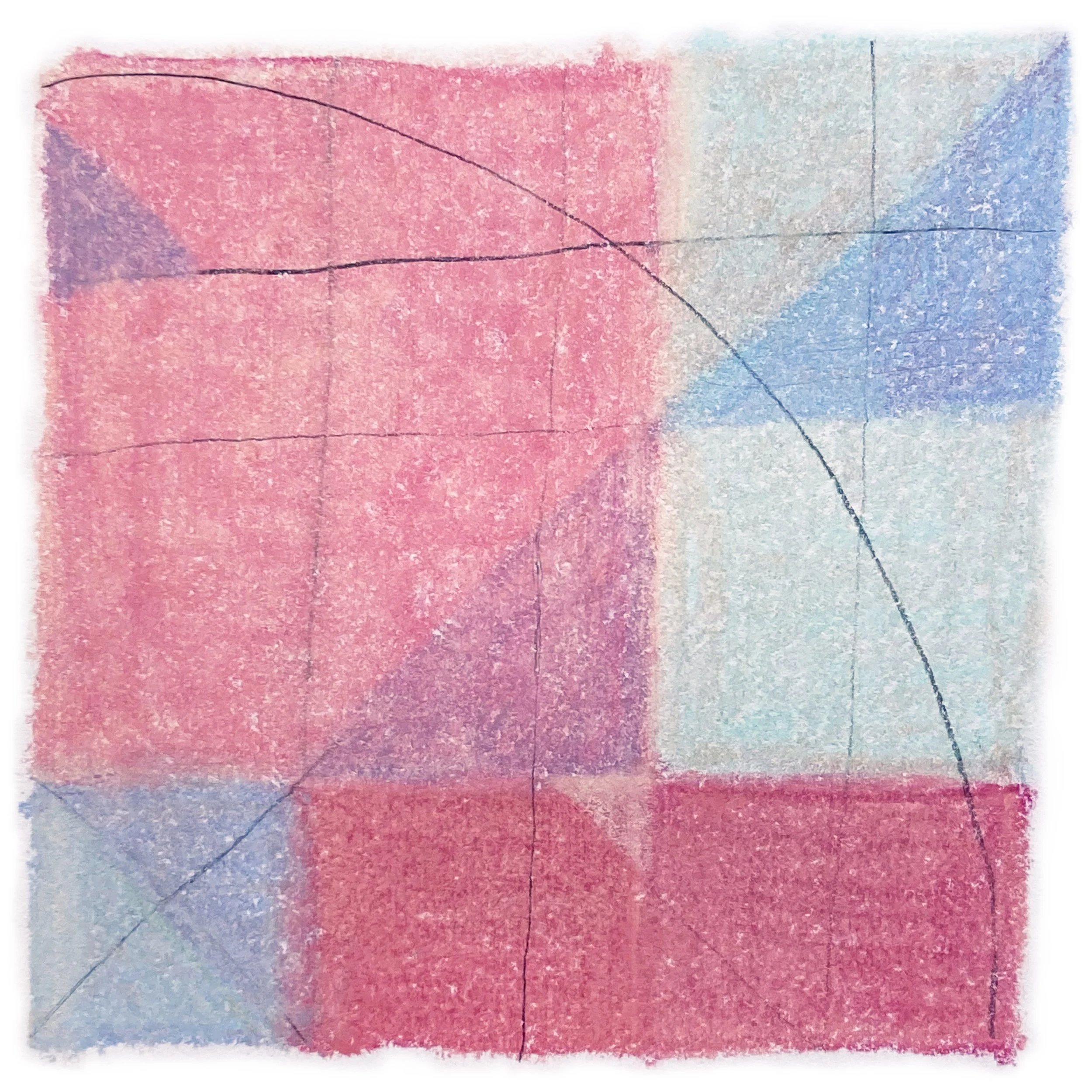 Geranium Matrix  
soft pastel on paper, charcoal  
5.25" x 5.5"