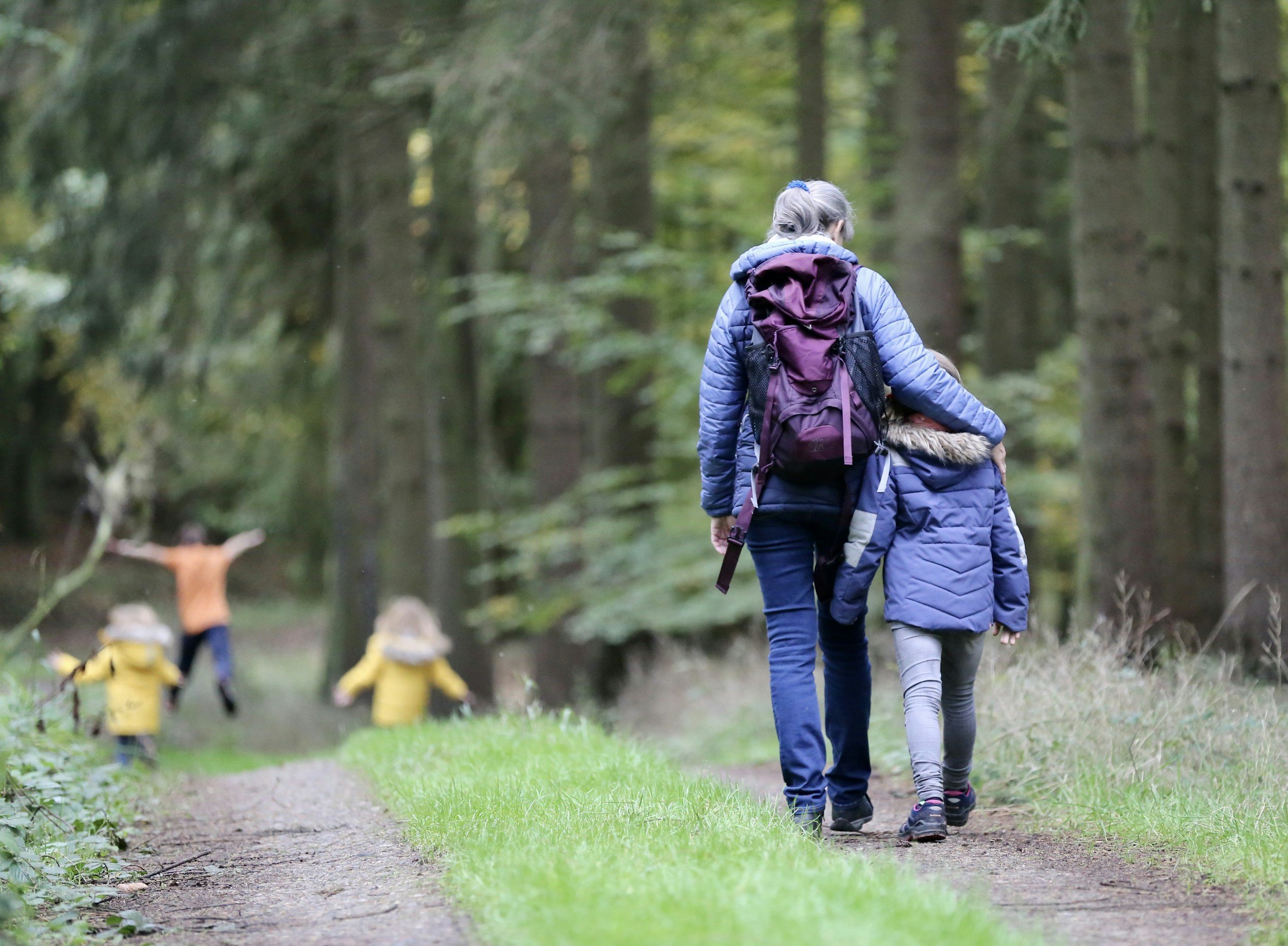 A woman and a young girl walking on a forest trail with tall trees around them. They are dressed in blue jackets and carrying backpacks, with the girl holding a stuffed animal. In the background, a man and two children in yellow jackets are visible near the trees.