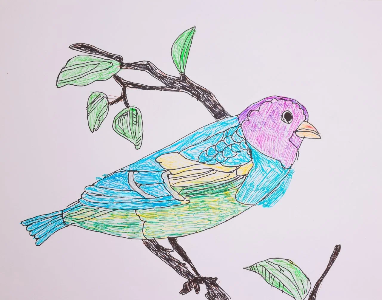 "Untitled" by Ethan Guo