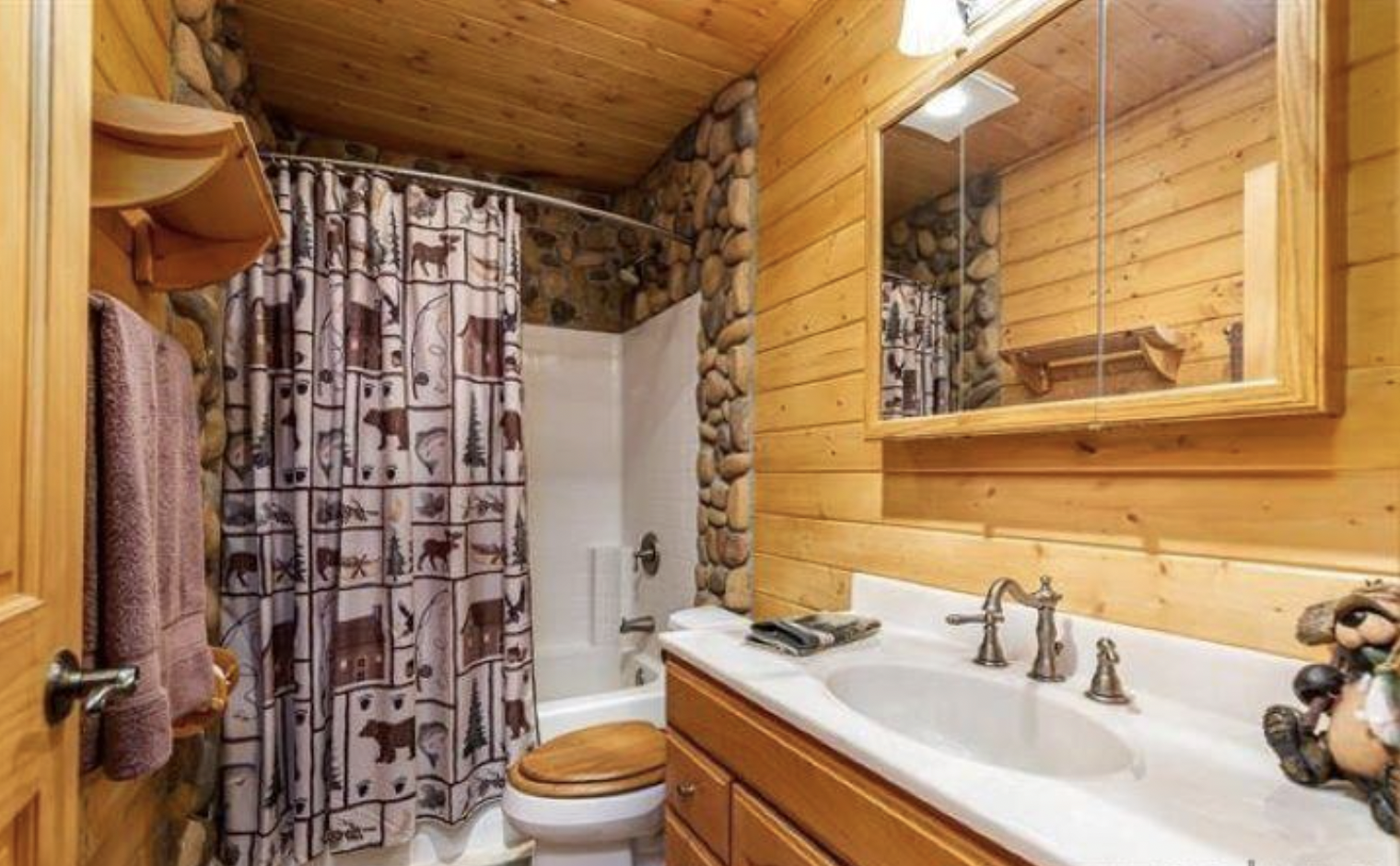 Guest bathroom before