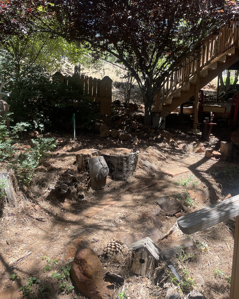 Landscaping before