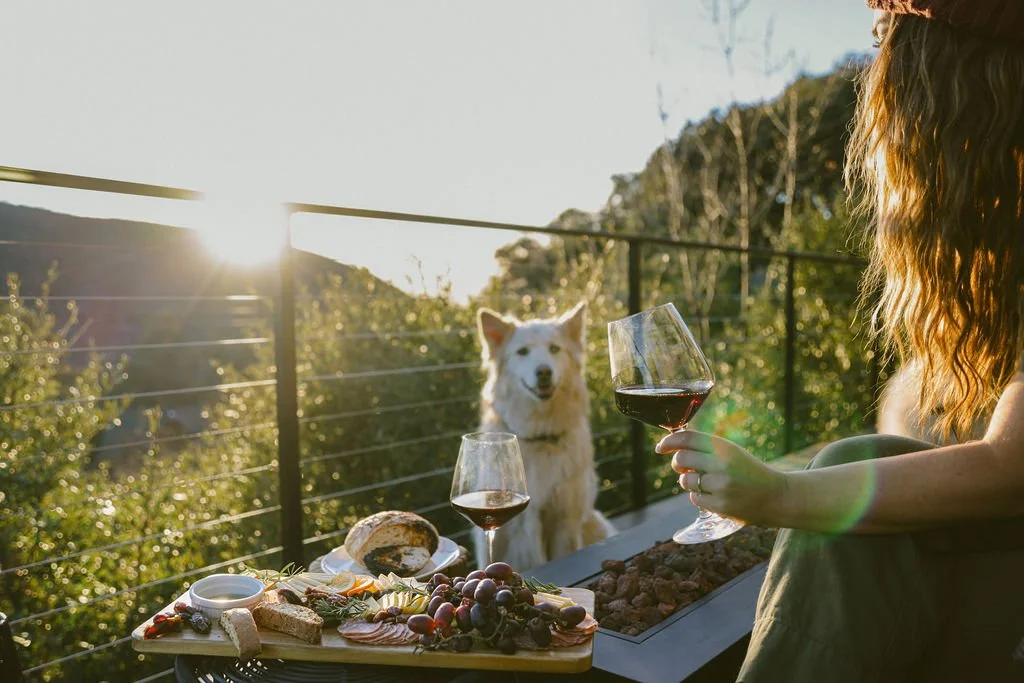 A woman with long, wavy hair holding a glass of red wine seated outdoors at a table with a cheese platter, bread, grapes, and a glass of red wine, with a dog sitting nearby on a balcony railing during sunset.