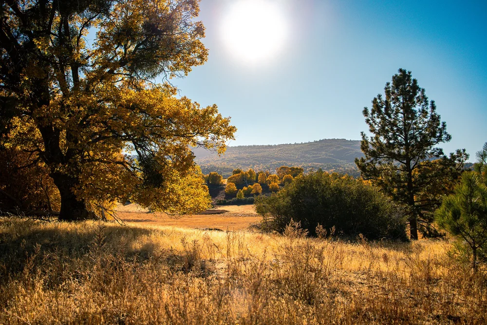 The mountains above Lake Cuyamaca near Julian