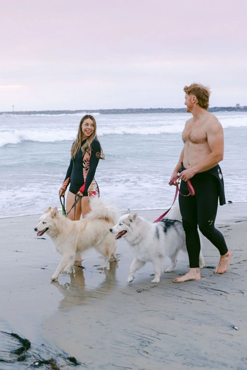Walking two dogs along the sand at dusk after a surf