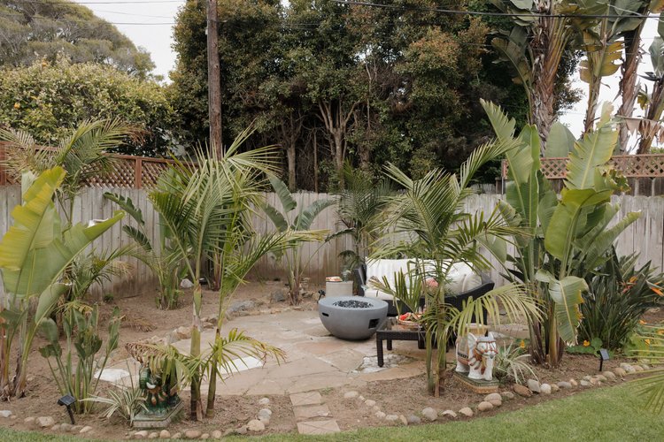 The backyard, La Jolla vacation rental, photo 41