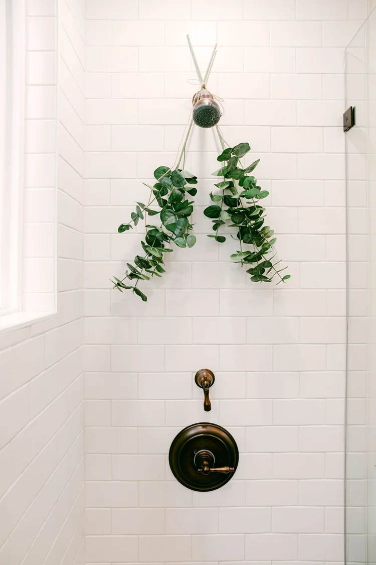 The master bathroom, Ocean Beach vacation rental, photo 25