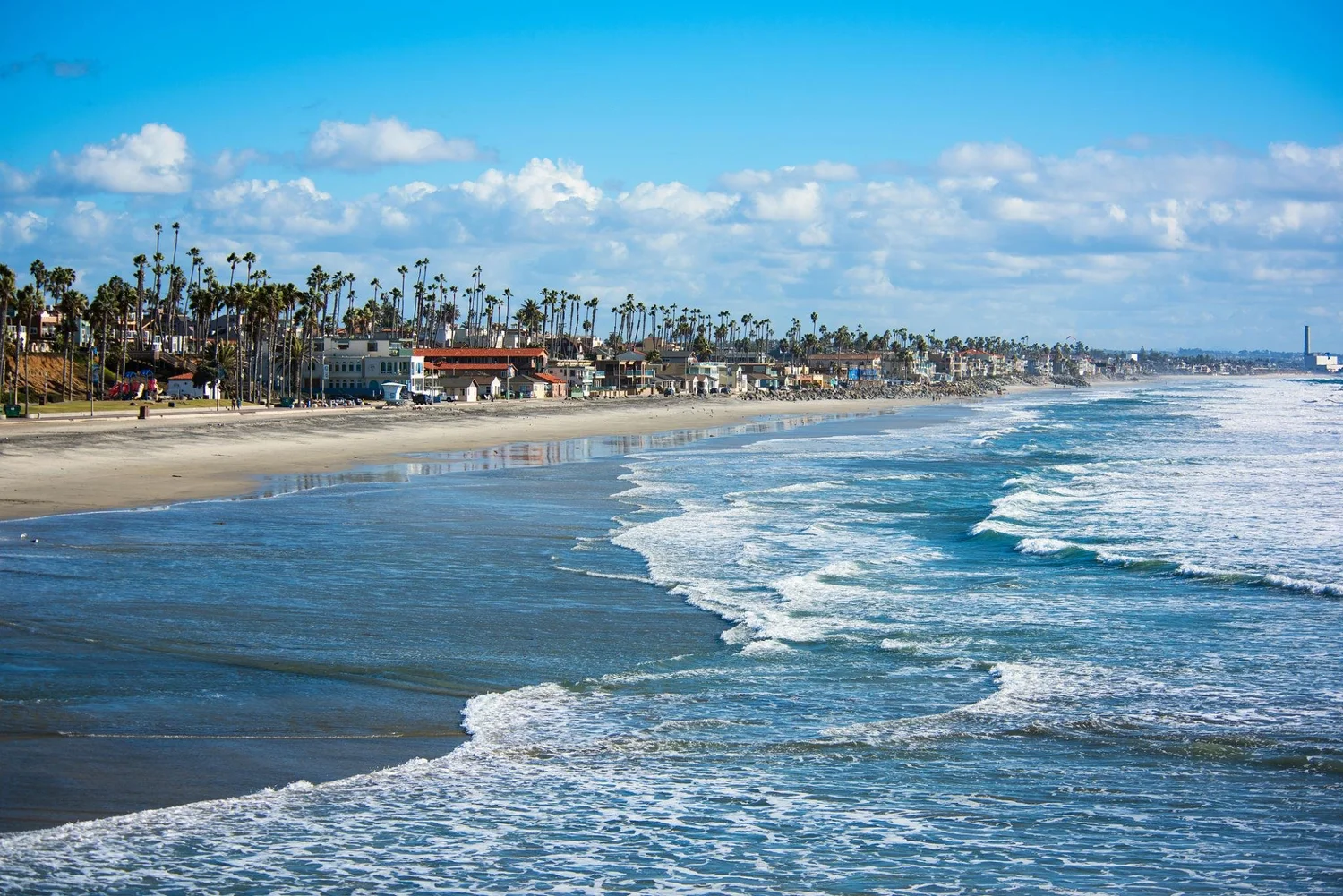 The beach in Oceanside, California, with waves rolling in below a row of palm trees and beach houses