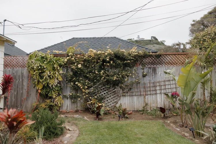The backyard, La Jolla vacation rental, photo 42