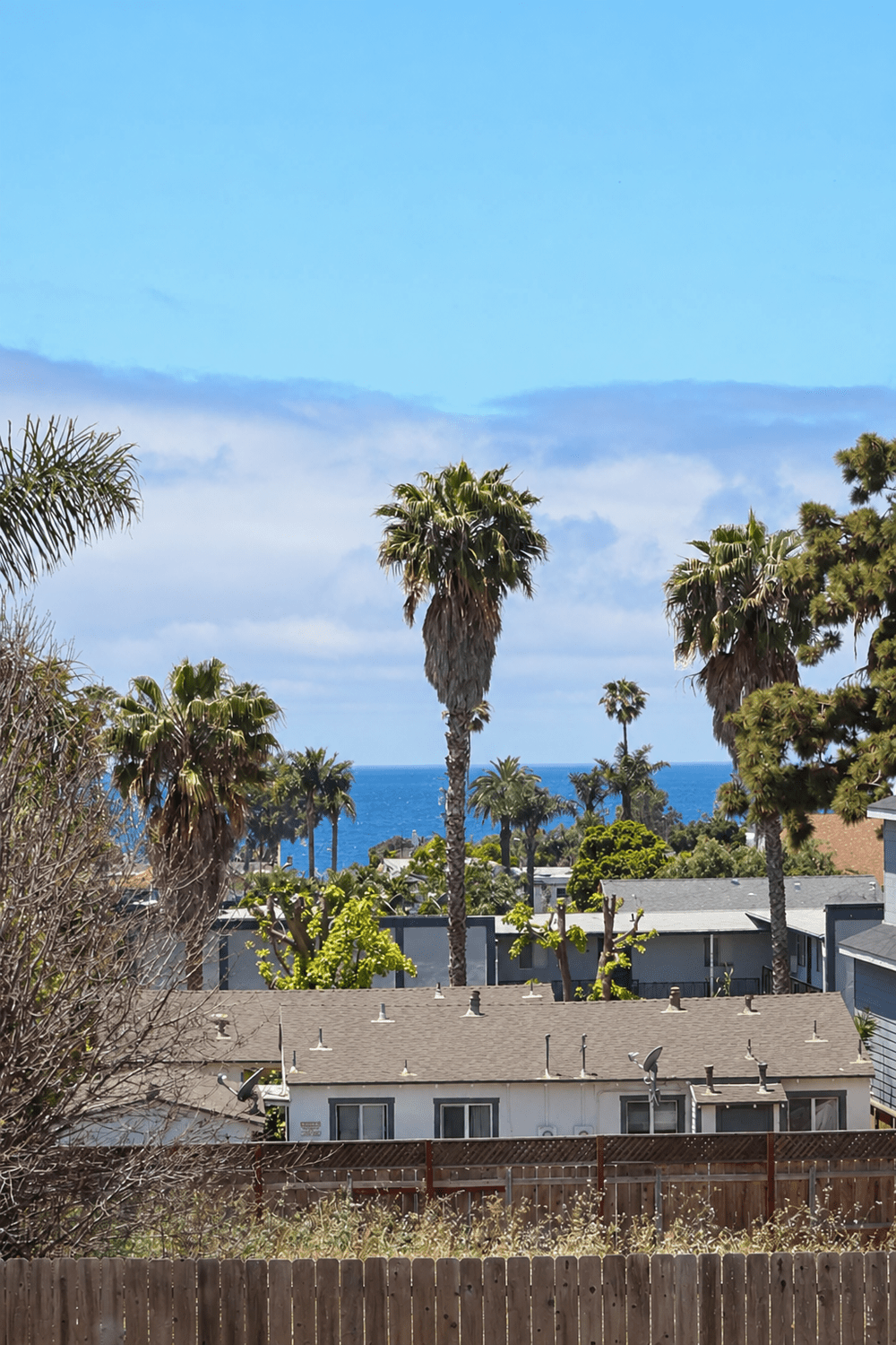 Palm trees and the Pacific Ocean seen from the first-floor shared patio at The Swell in Oceanside