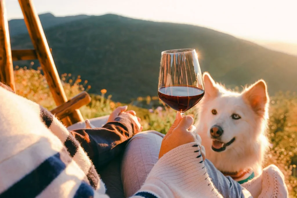 Wine poured outside at Wild Moon Ranch