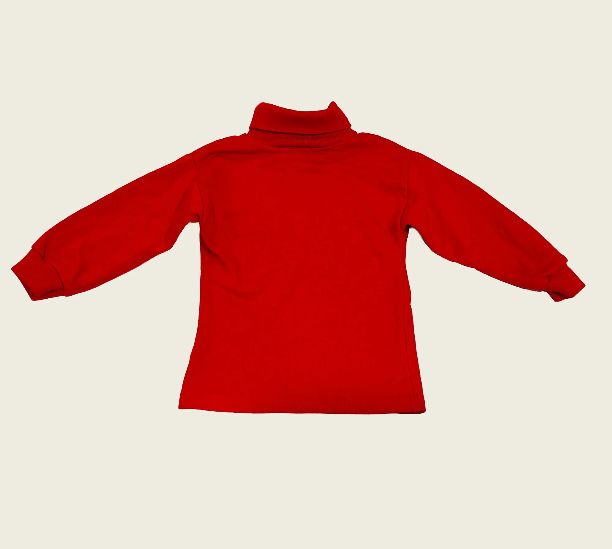 snoopy_christmas_back.jpg