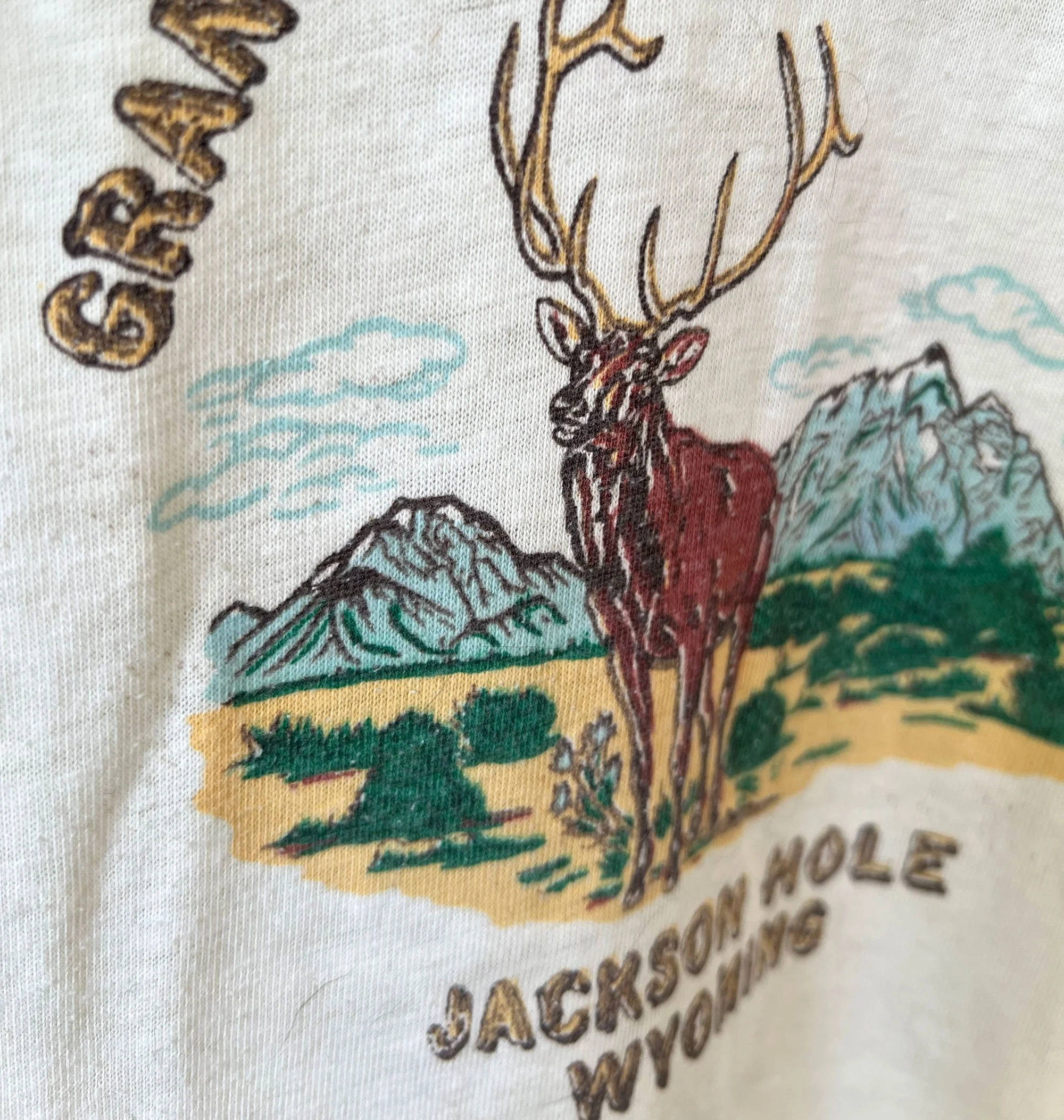 grand_teton_closeup.jpg