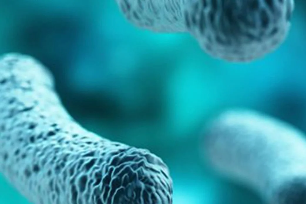 The Vaginal microbiome - yes Yes YES!