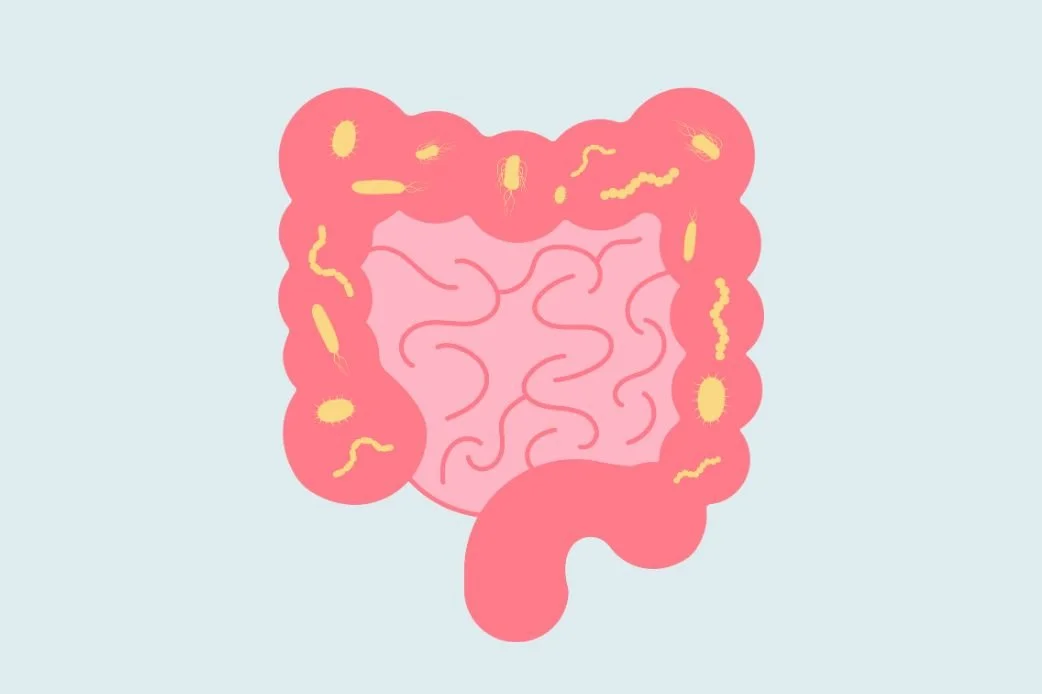 Leaky Gut... Really?