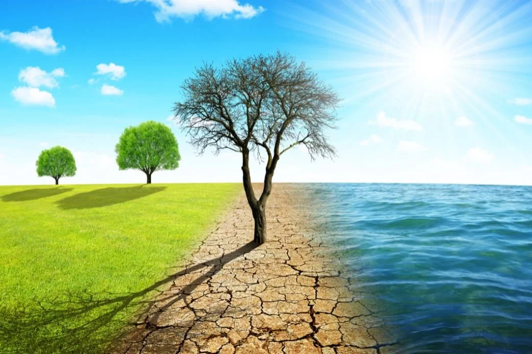 Are our diets costing the Earth?