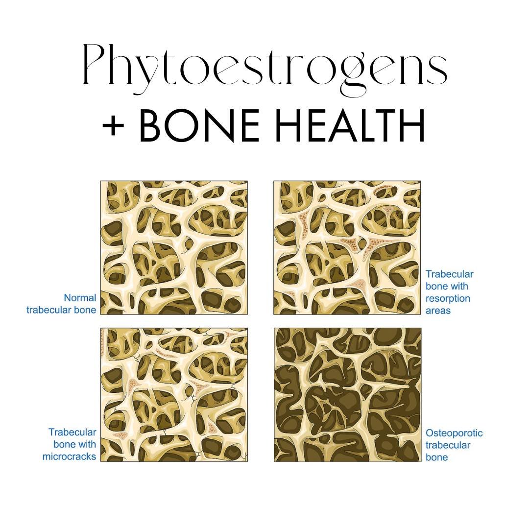 Another significant change that occurs during menopause is the loss of bone mineral density (BMD), causing osteoporosis. As there are high levels of ER&beta; in bone the use of  the phytoestrogens isoflavones; such as daidzein, genistein and S-equol 