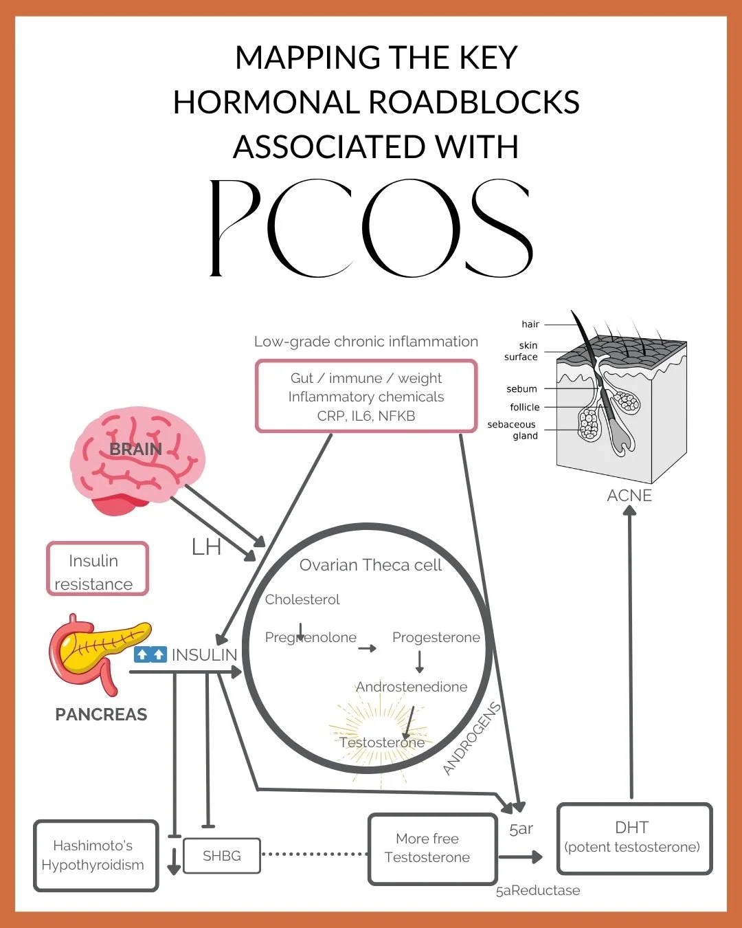 PCOS is by definition a condition presenting as irregular periods and the over-production of androgens, which cause these irregular cycles. 

Today marks the final day of PCOS Awareness Month, so I wanted to close it out by mapping the key hormonal r