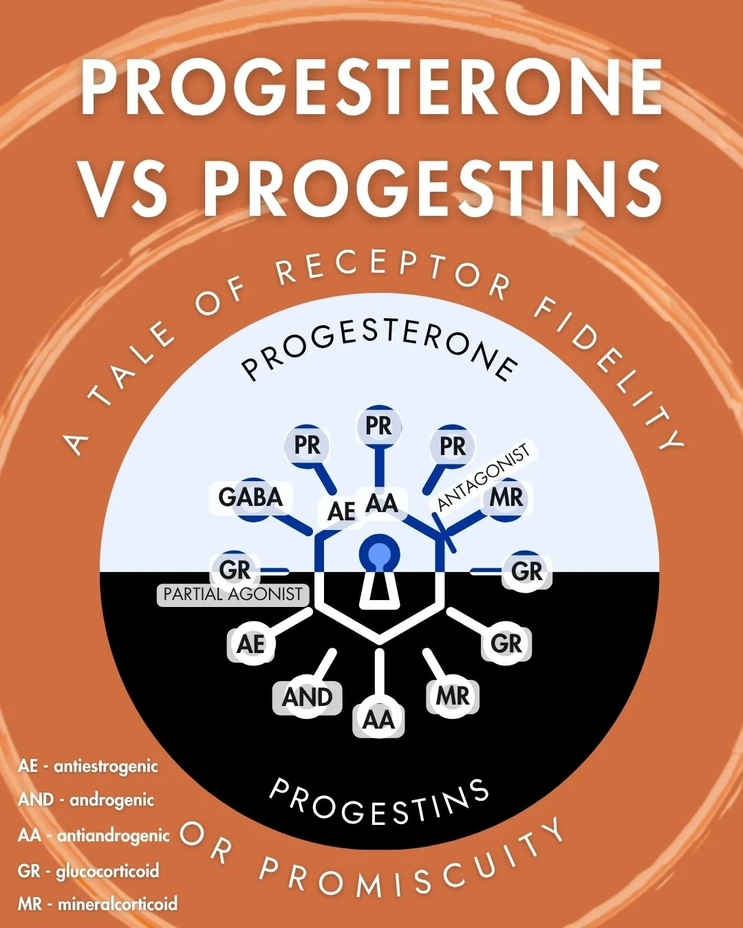 When we talk about &quot;progesterone&quot; therapy, we need to get specific about WHICH progestogen we're using &ndash; because their receptor binding profiles are wildly different, and so are their effects.

Swipe &gt;&gt;&gt;

THE BOTTOM LINE:

Pr