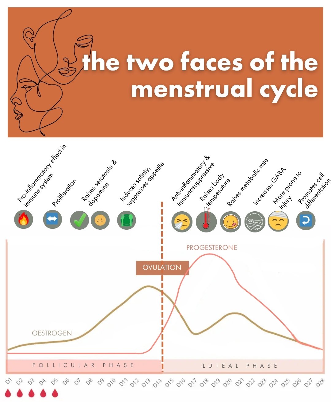 Have you ever considered ➡️ each menstrual cycle is a picture of two halves, driven by different hormones, resulting in often polar opposite effects across multiple systems.

The immune system responds to viruses &amp; bacterial infections completely