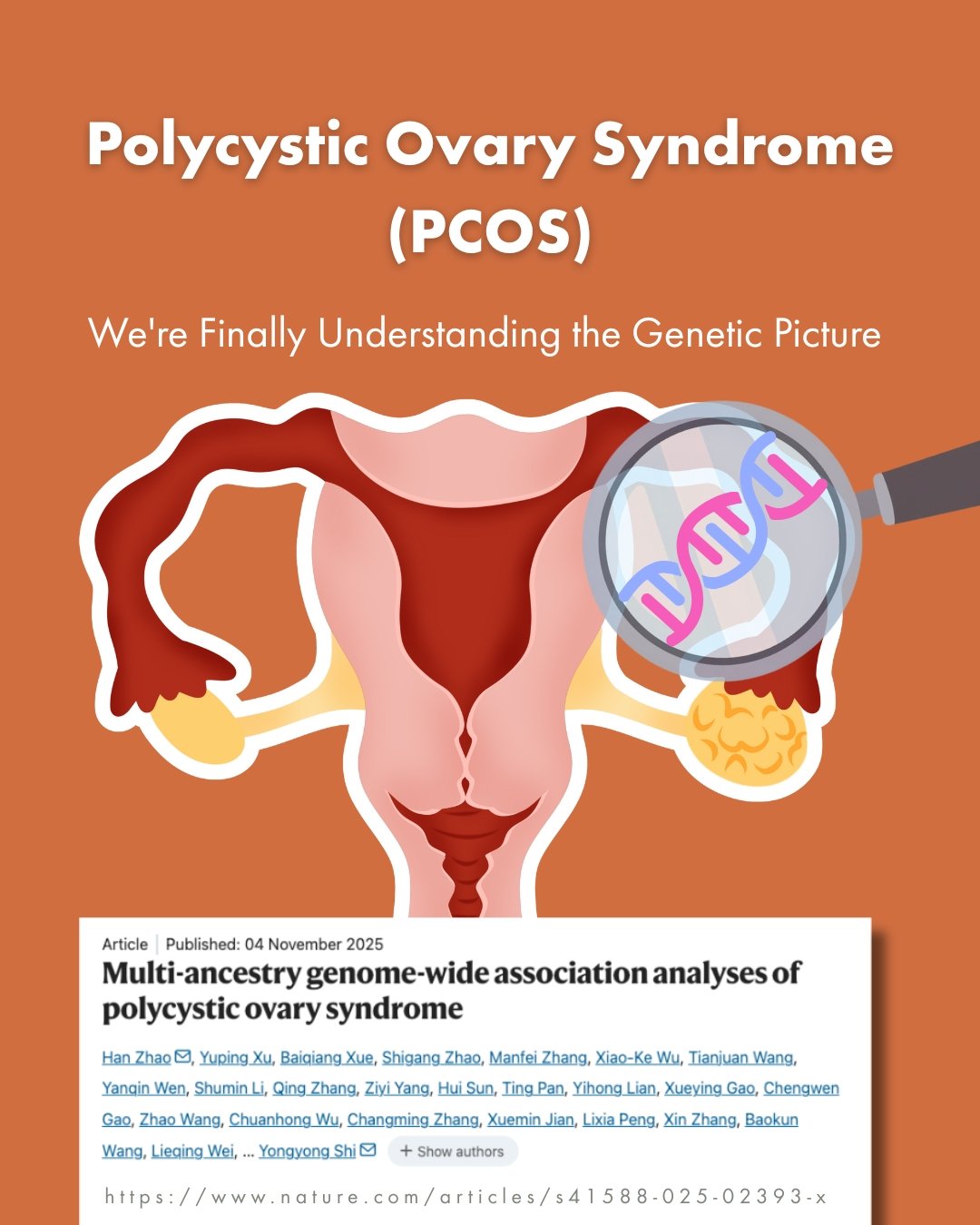 For years, we've known PCOS runs in families &ndash; around 70% of risk is genetic &ndash; yet we could only explain about 10% of that risk. Until now....

New research analysing over 440,000 women has identified 94 genetic variants linked to PCOS, e