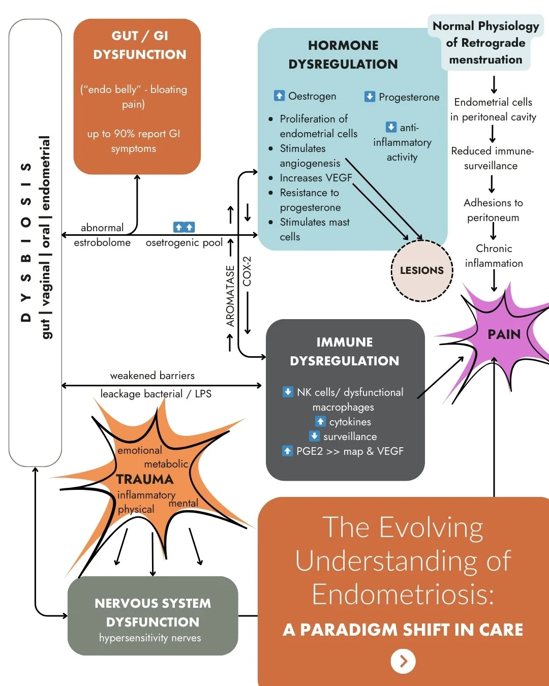 It's Endometriosis Awareness Month - and we are experiencing a massive paradigm shift in medical thinking. FINALLY, we are moving away from the brutal diagnostic approach long delivered by gynecology.

For too long, women have been told the devastati