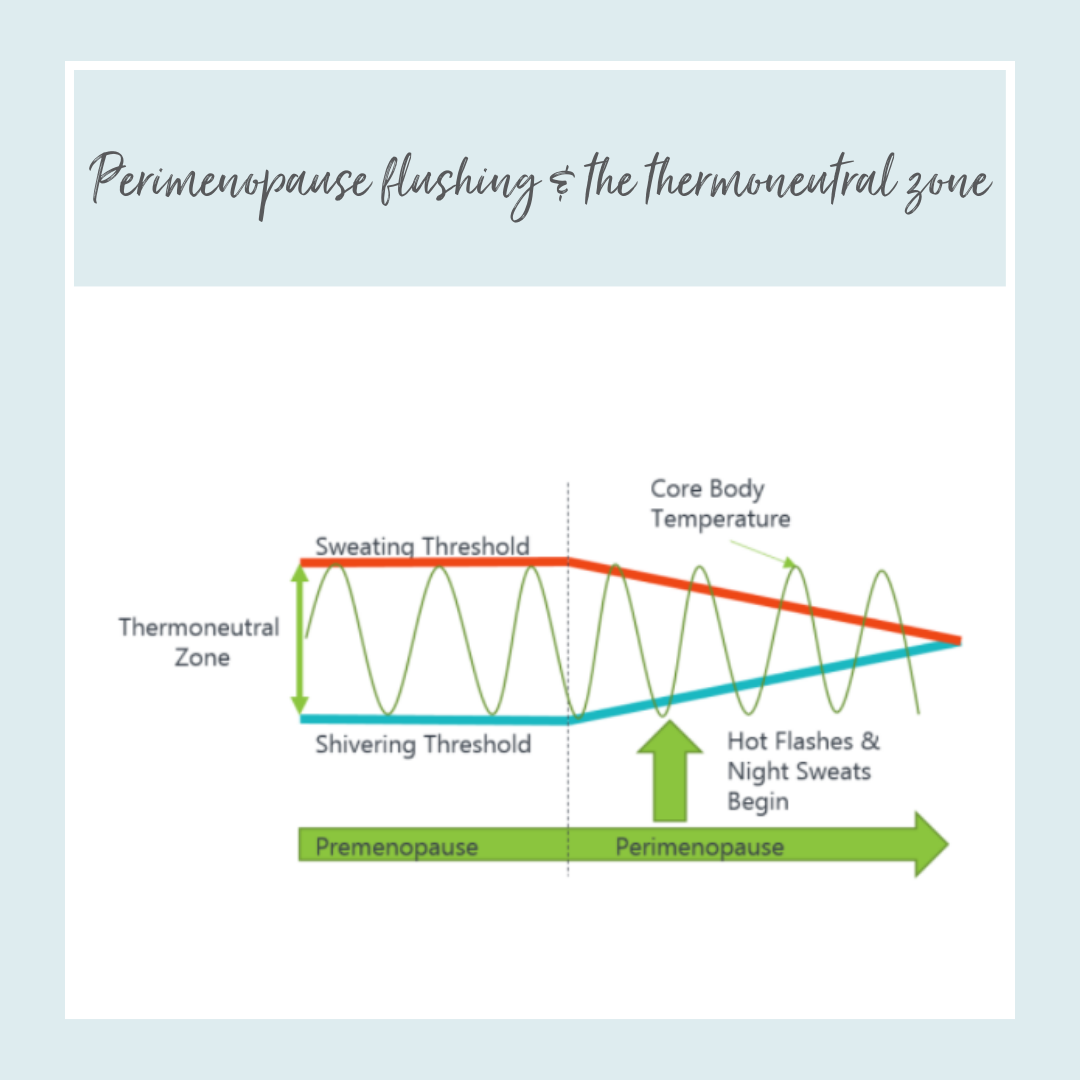 The rollercoaster of perimenopause and flushing — Tanya Borowski Ltd
