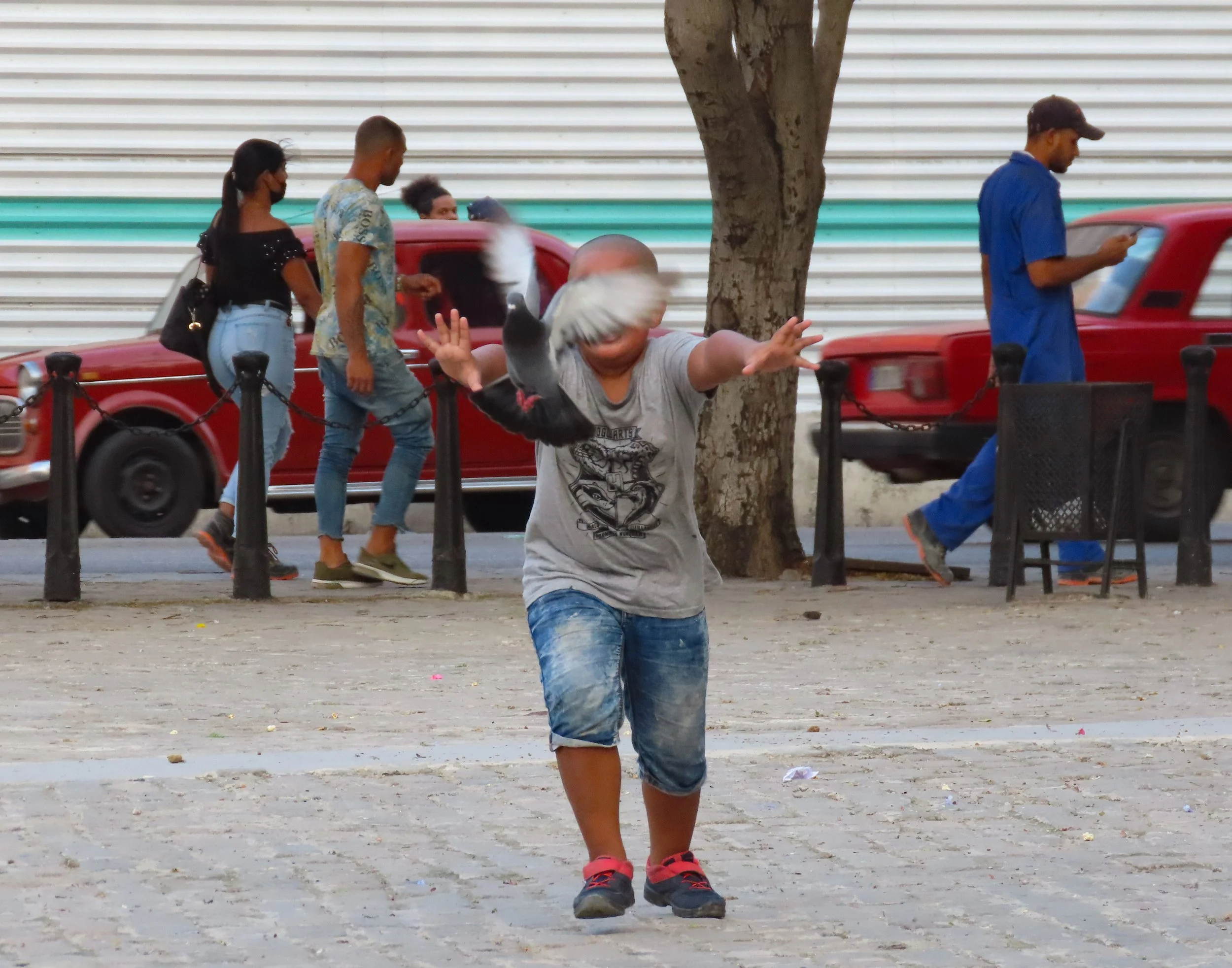 Educación y transición democrática en Cuba: reconstrucción de un modelo cívico
