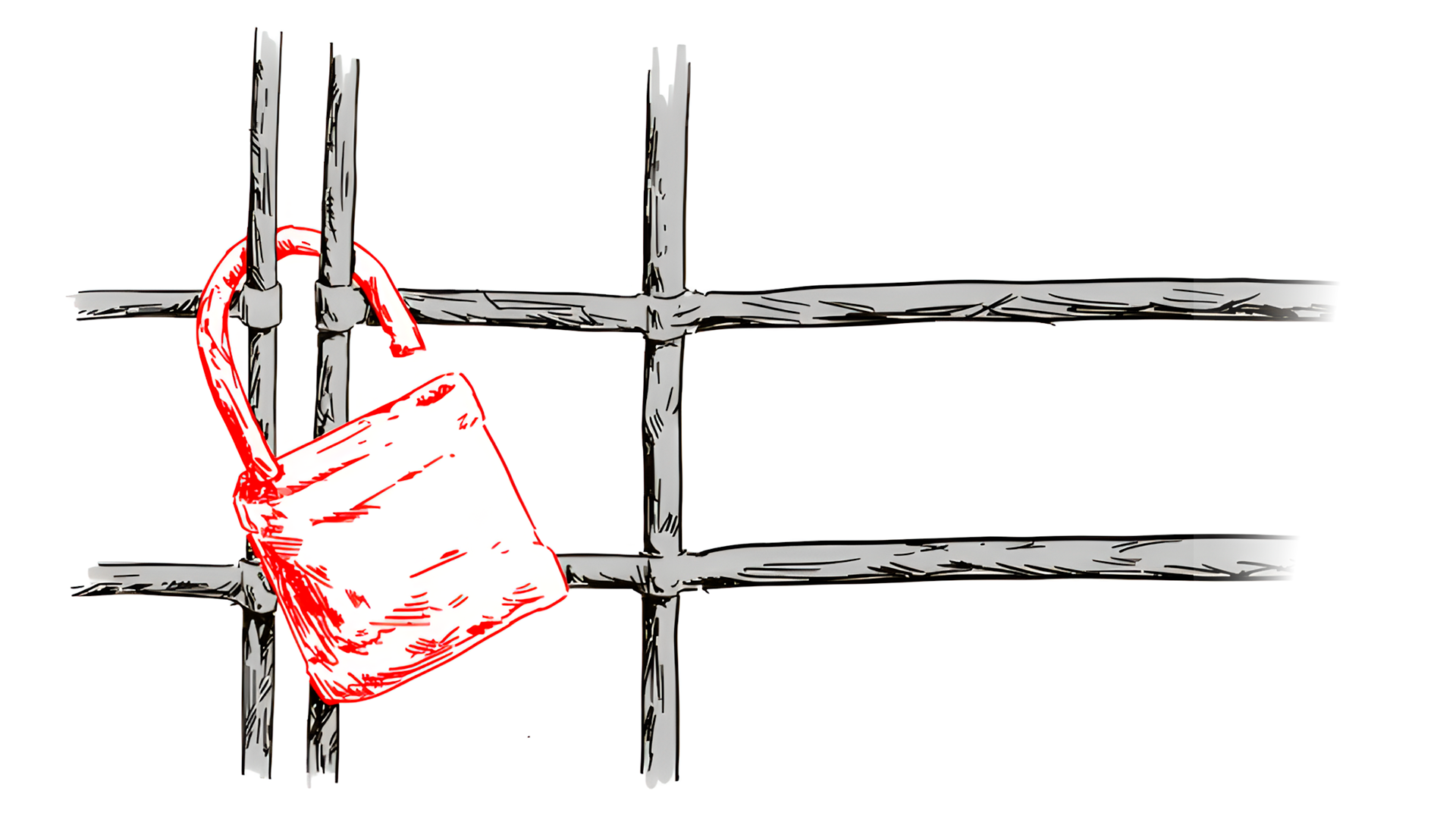 !Por la Amnistía YA!