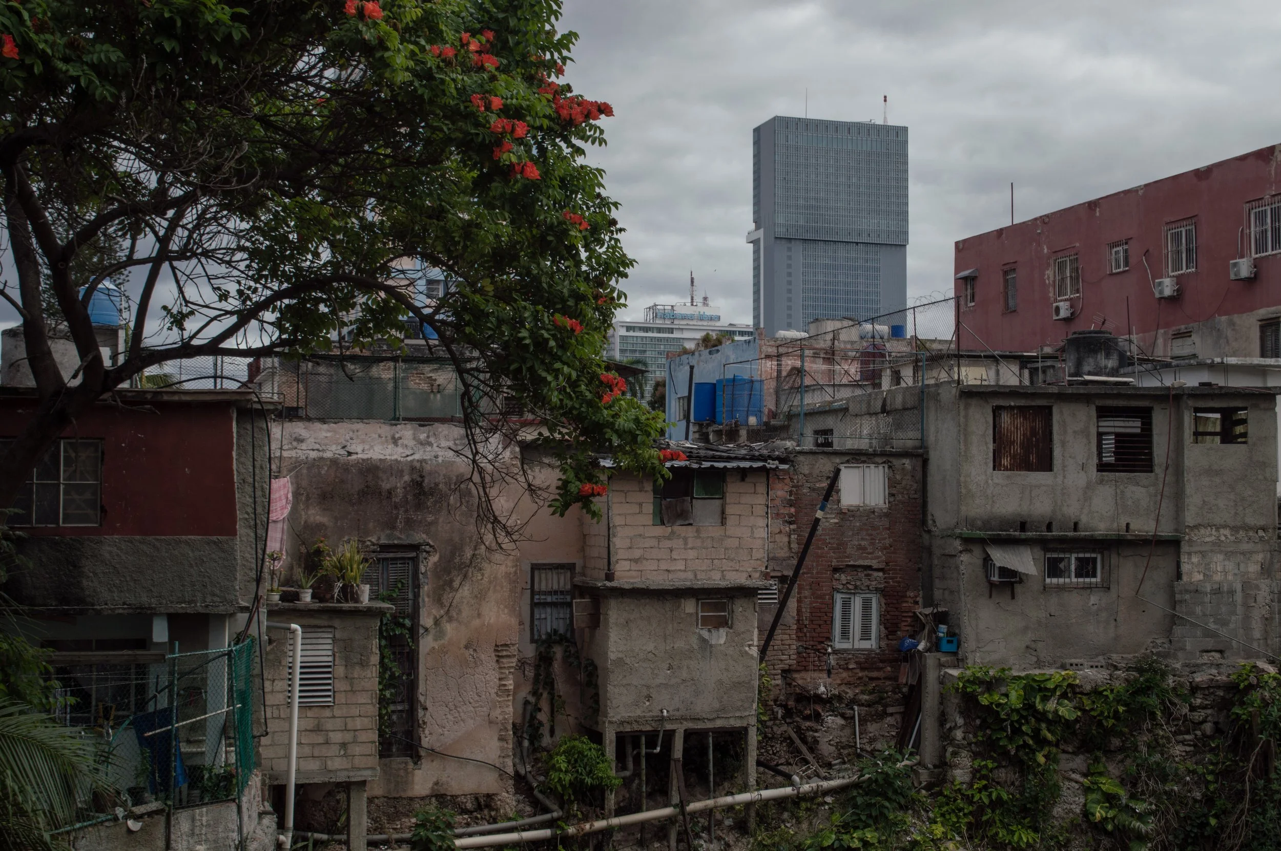 El Estado cubano contra sus propios fines