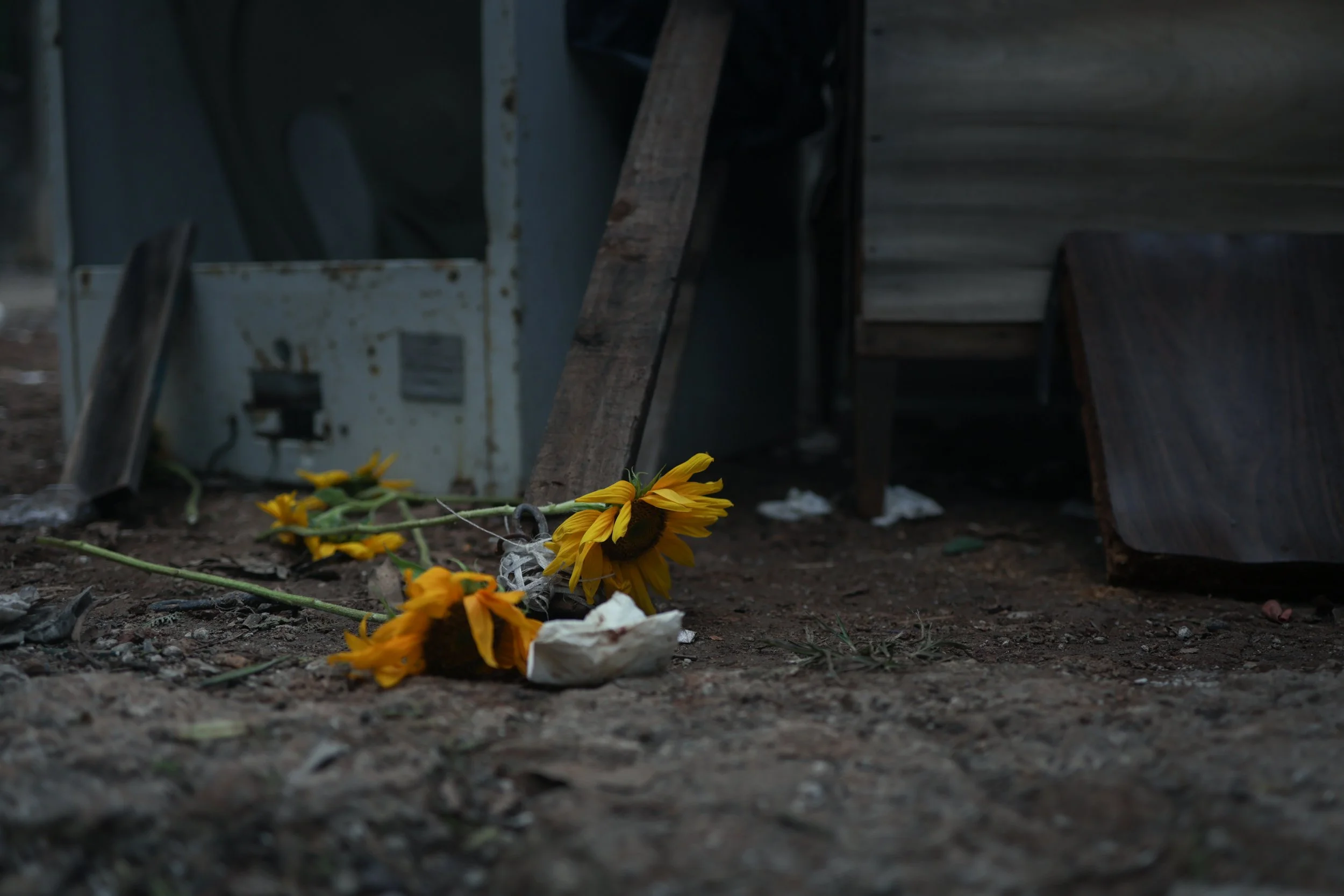 Cuba, El 4tico, Trump, el convoy y la izquierda trasnochada