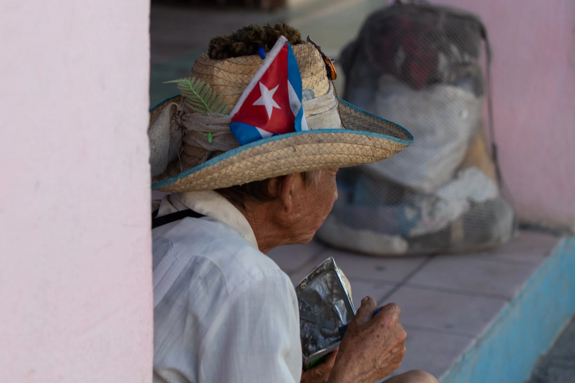 Propiedad, desigualdad y reconstrucción productiva en Cuba